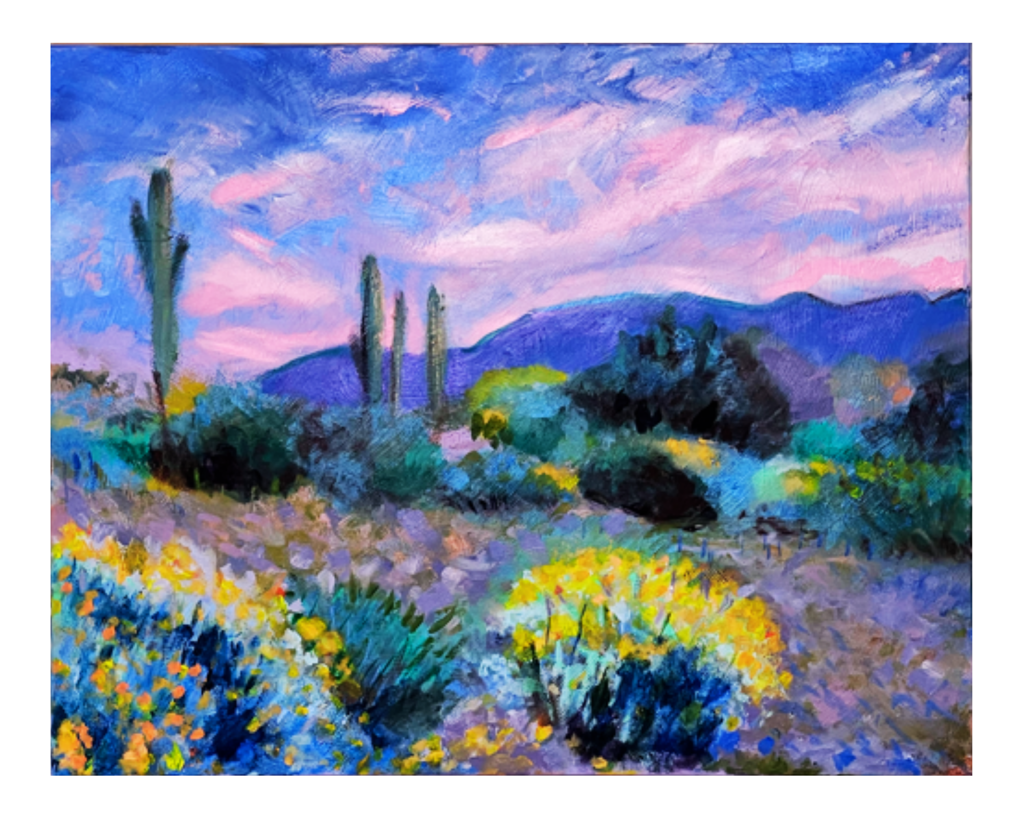 Sonoran Desert, 2023