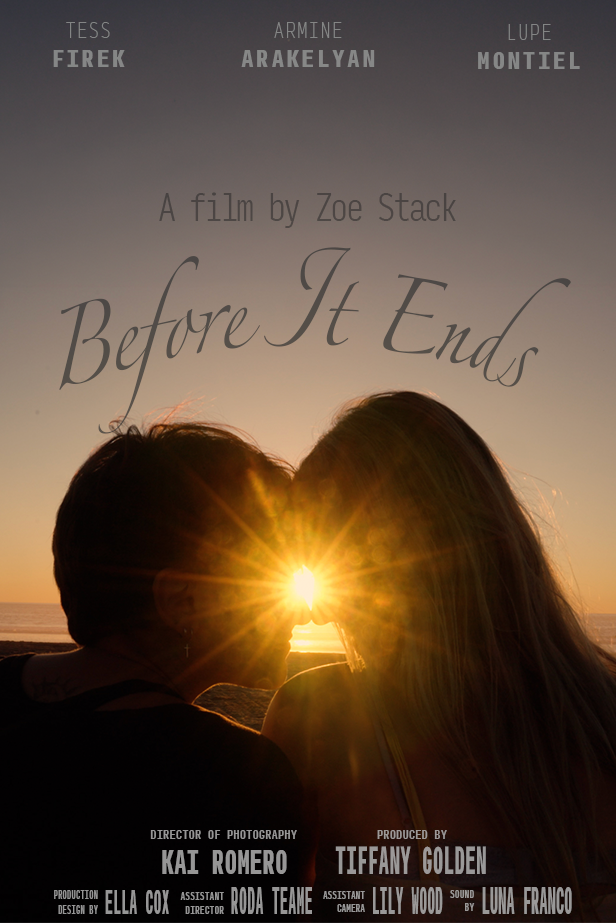Silhouettes of a man and woman at sunset, holding hands near the water with the sun between their faces, on the movie poster for 'Before It Ends'.