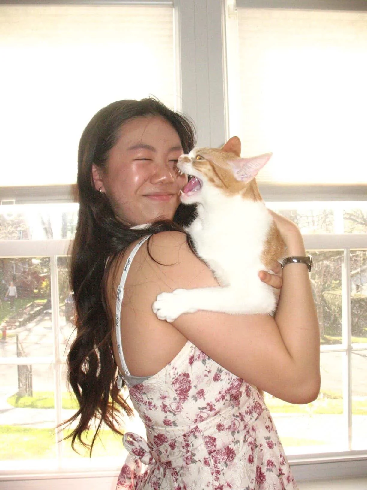 A woman is holding a ginger cat close to her face, and the cat appears to be yawning. They are indoors with large windows in the background.