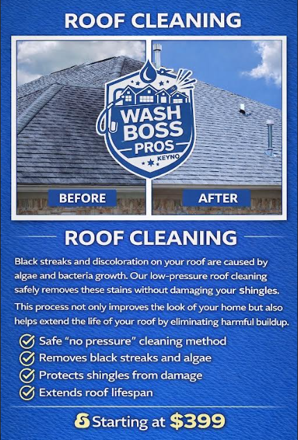 Roof cleaning Lima Ohio soft wash Roof black streak removal Wash Boss Pros