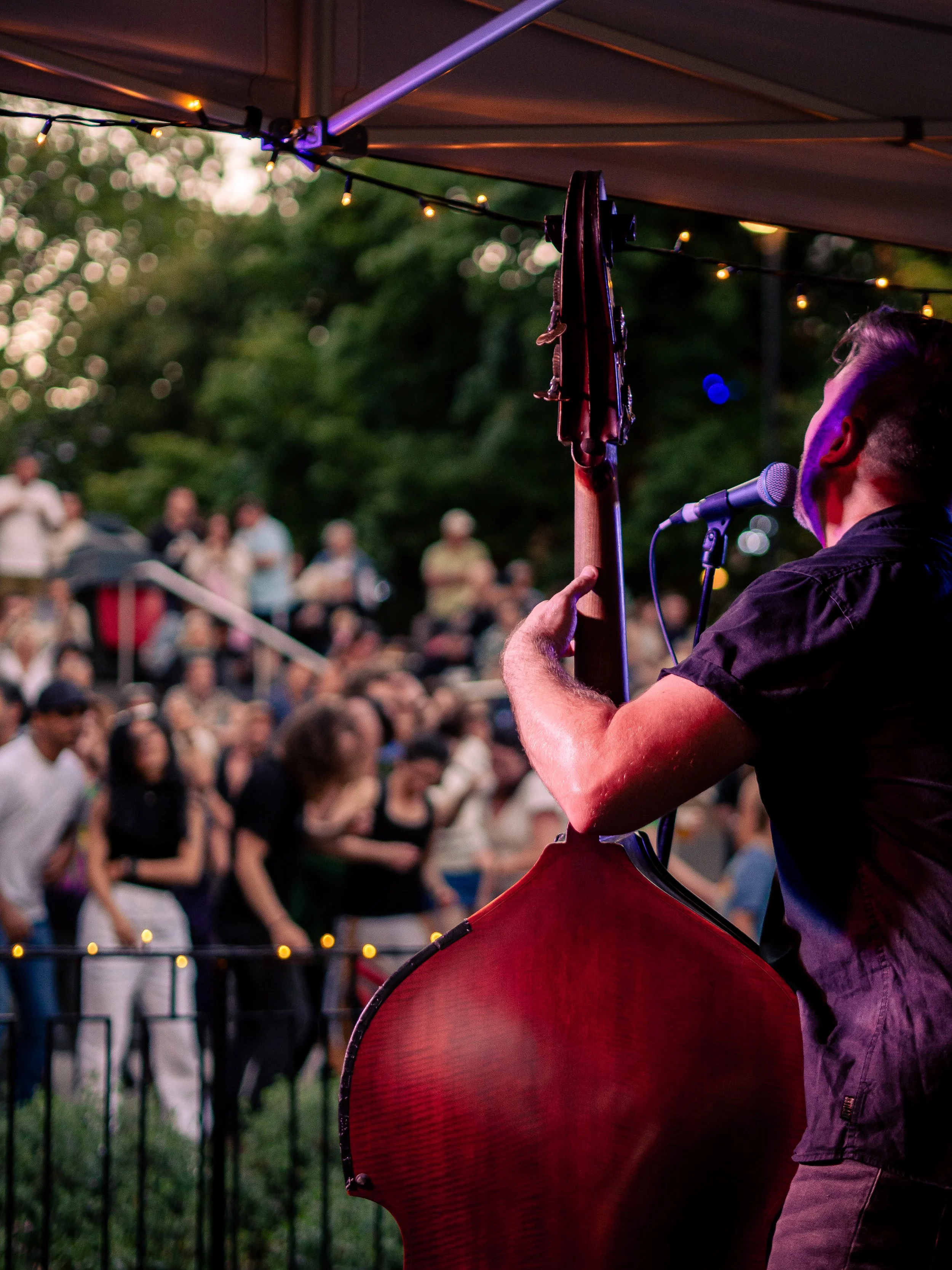 A musician plays a double bass at an outdoor concert during twilight, with string lights overhead and a blurred audience in the background.
