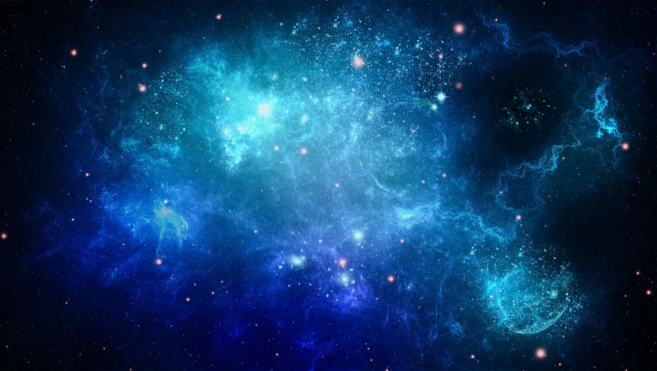 blue cosmos_1.jpg