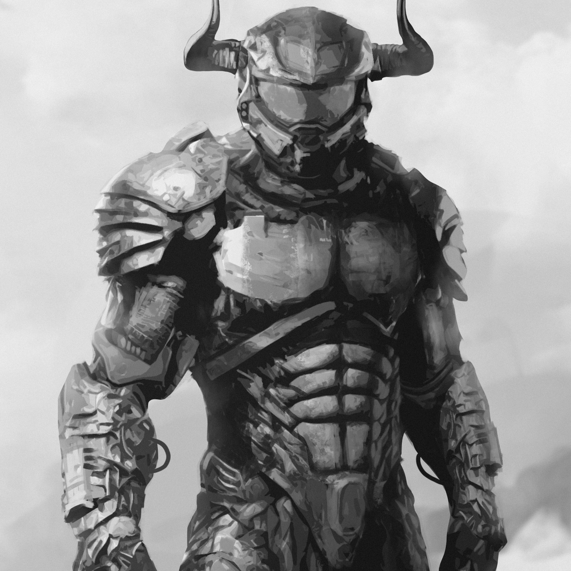 STJARNA: STJARNAREKKAR | STAR RAIDERS (EBOOK)