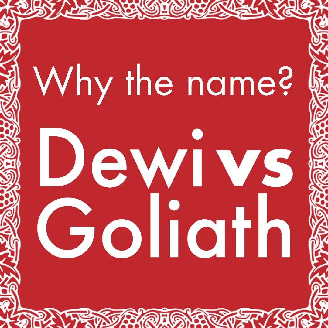 Welcome to Dewi vs Goliath.

We help Welsh businesses compete with larger brands through strategic advertising and performance-driven creative.

If you&rsquo;re investing in ads, they should generate measurable growth &mdash; not just awareness.

Tha