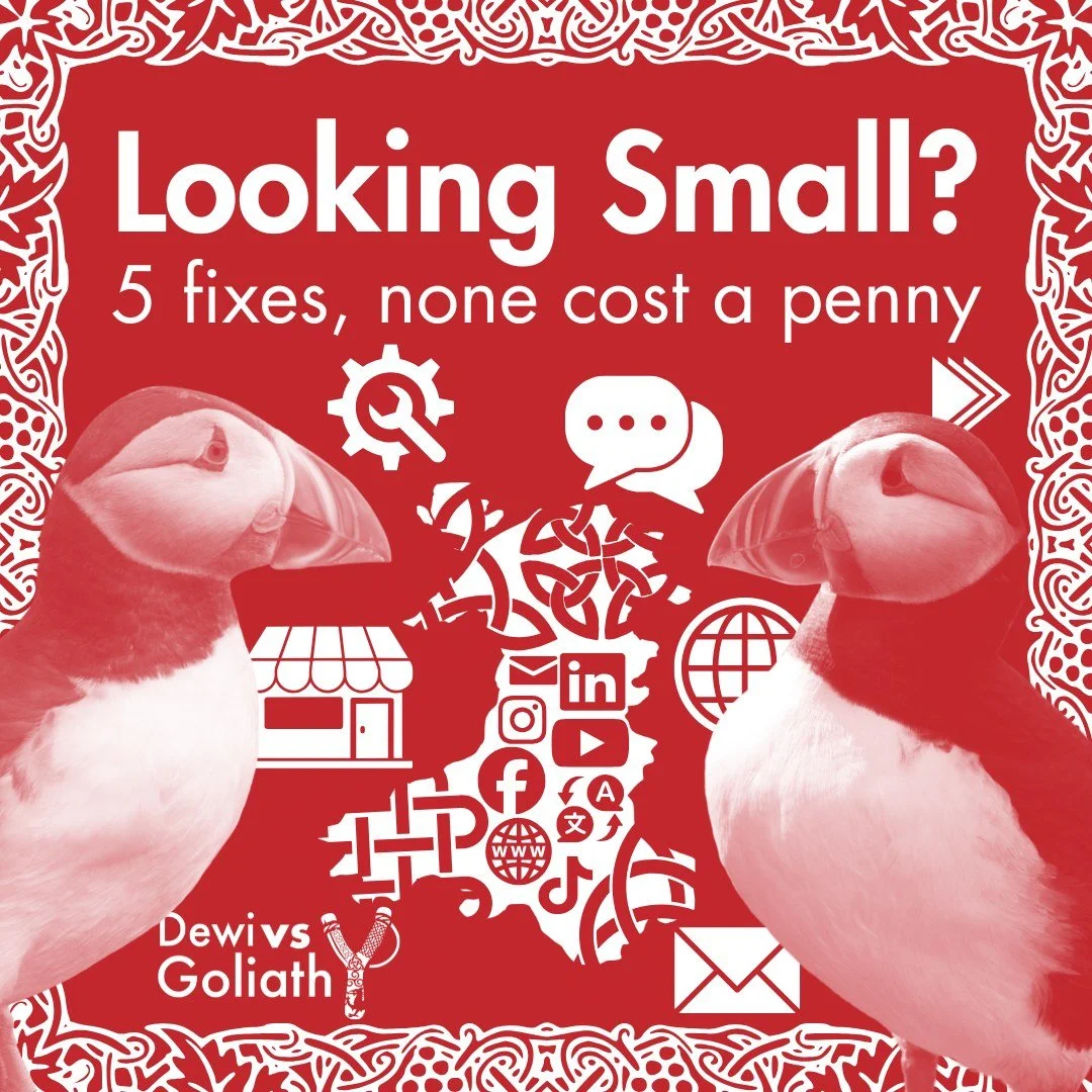 Five signs that quietly make your business look smaller than it is &mdash; and every single one costs nothing to fix 🔧

Mismatched profiles, stock photos, a silent inbox, a Gmail address, no clear next step: small tweaks, big brand energy. Which one