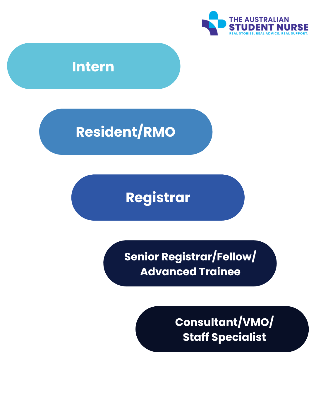 Flowchart showing career progression from Intern at the top, followed by Resident/RMO, then Registrar, and advanced roles like Senior Registrar/Fellow/Advanced Trainee and Consultant/VMO/Staff Specialist. The chart is from The Australian Student Nurse