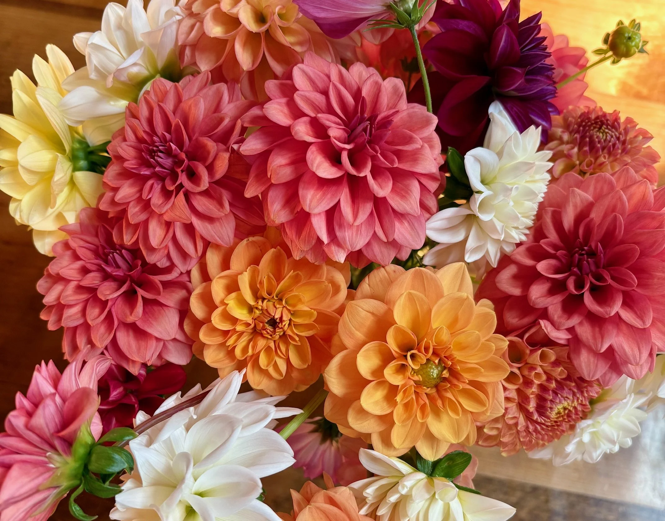 Specialty flowers grown on small farm in Northern California