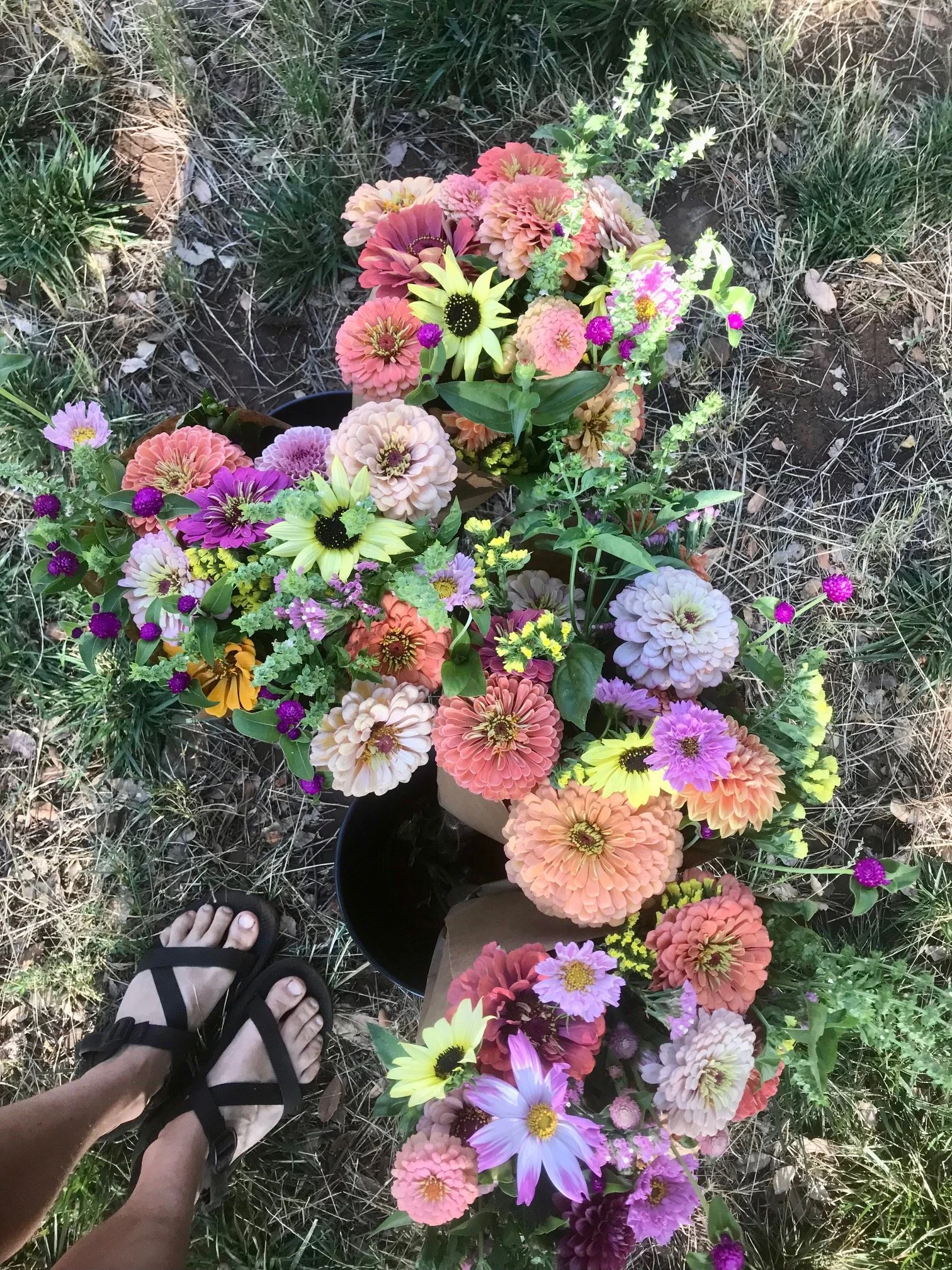 Naturally sustainably grown flowers