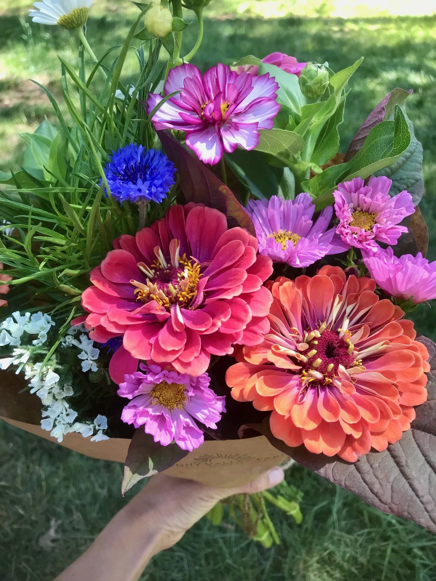 Locally grown sustainable natural blooms for subscriptions or events serving the Redding area. Farmer florist.