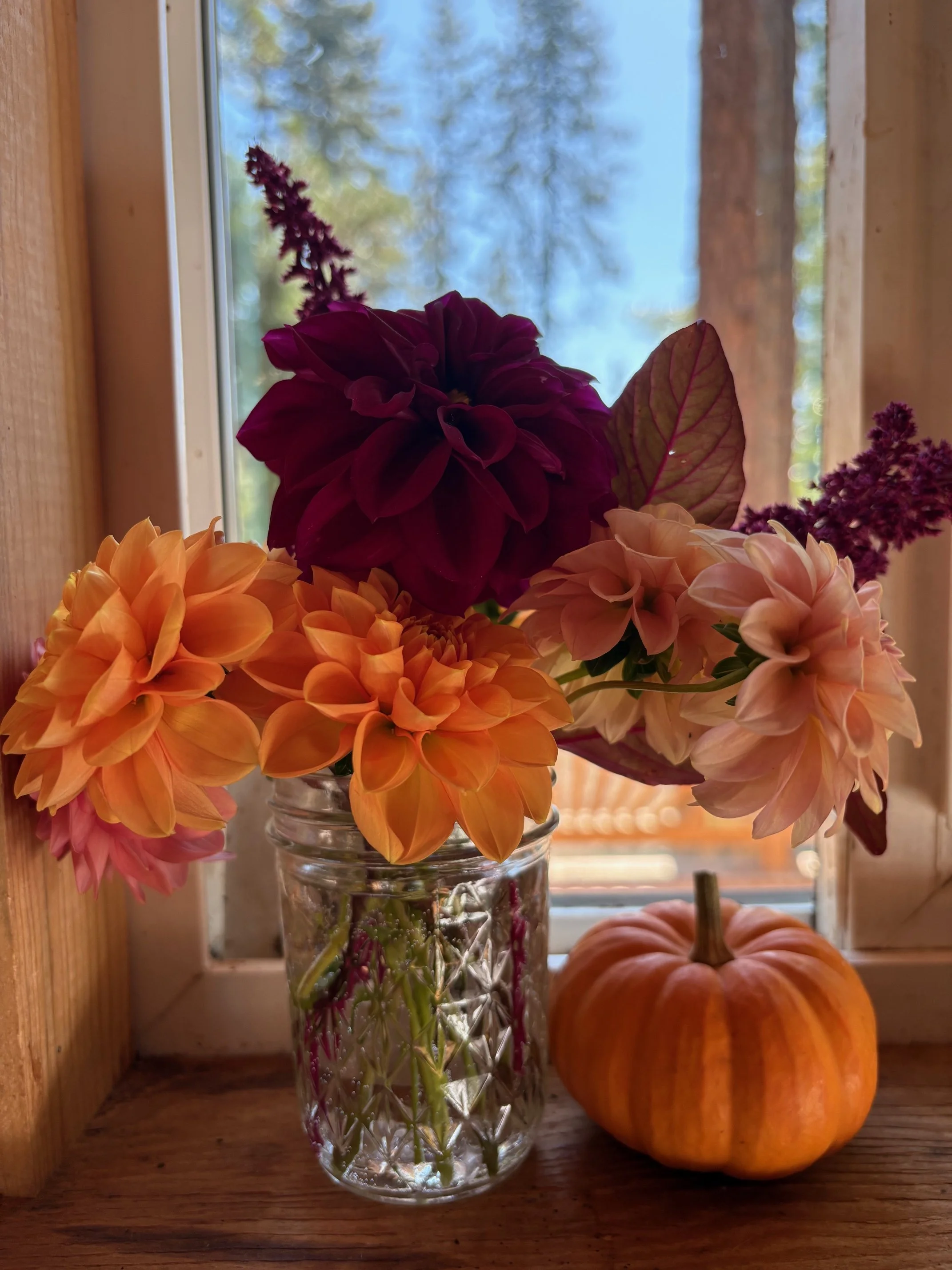 Cut flowers locally grown near Redding, California. Flower farm. Farmer florist in Northern California.