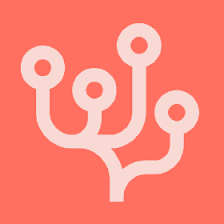 Abstract orange and white branching pattern on a pink background. Which is the logo of the AI tool CoralAI.