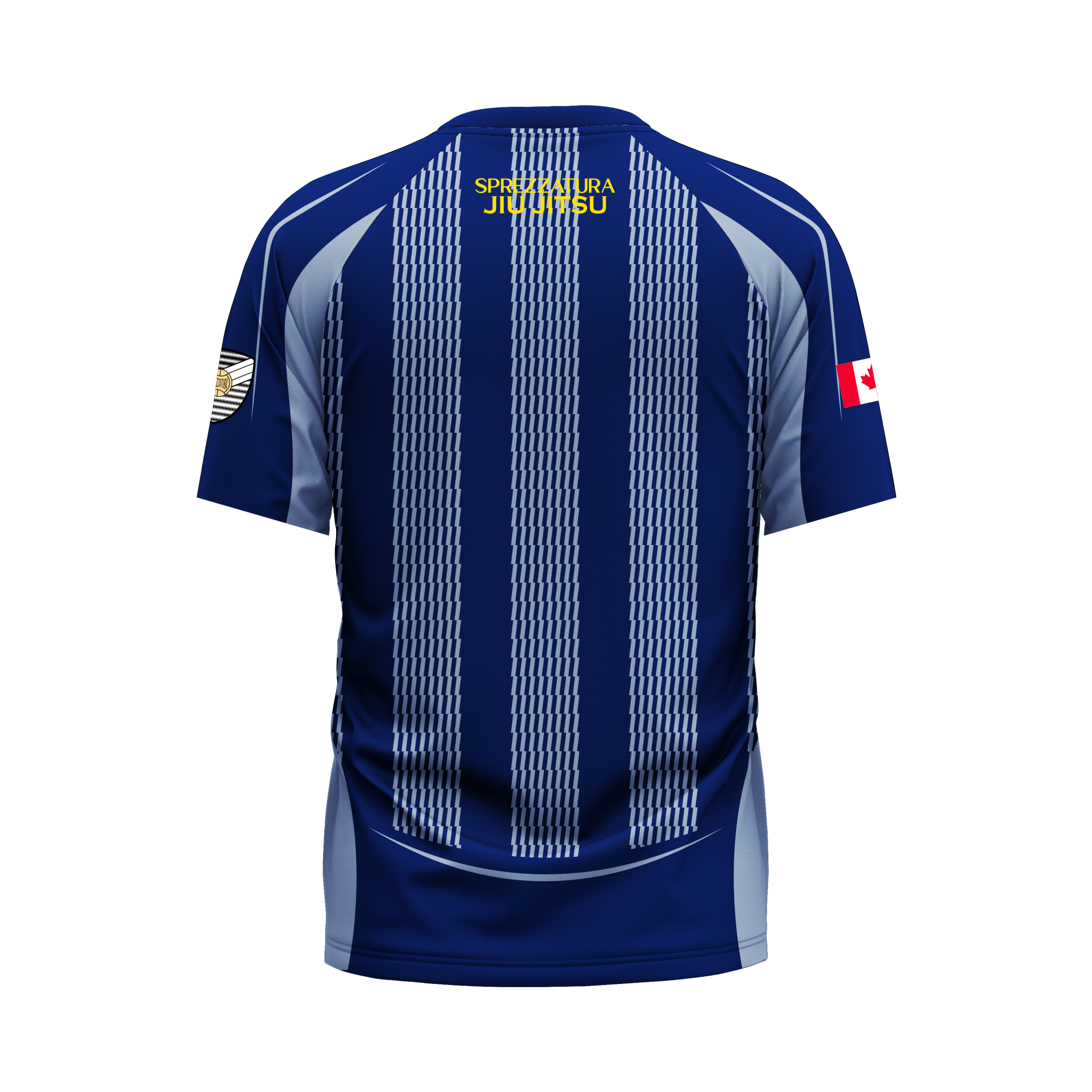 BLUE STRIPE BACK.png