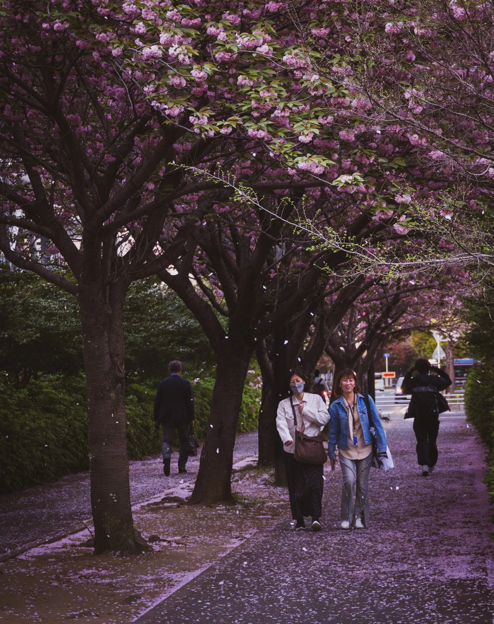 Chiba by Bryan Higa BKH02381.jpg