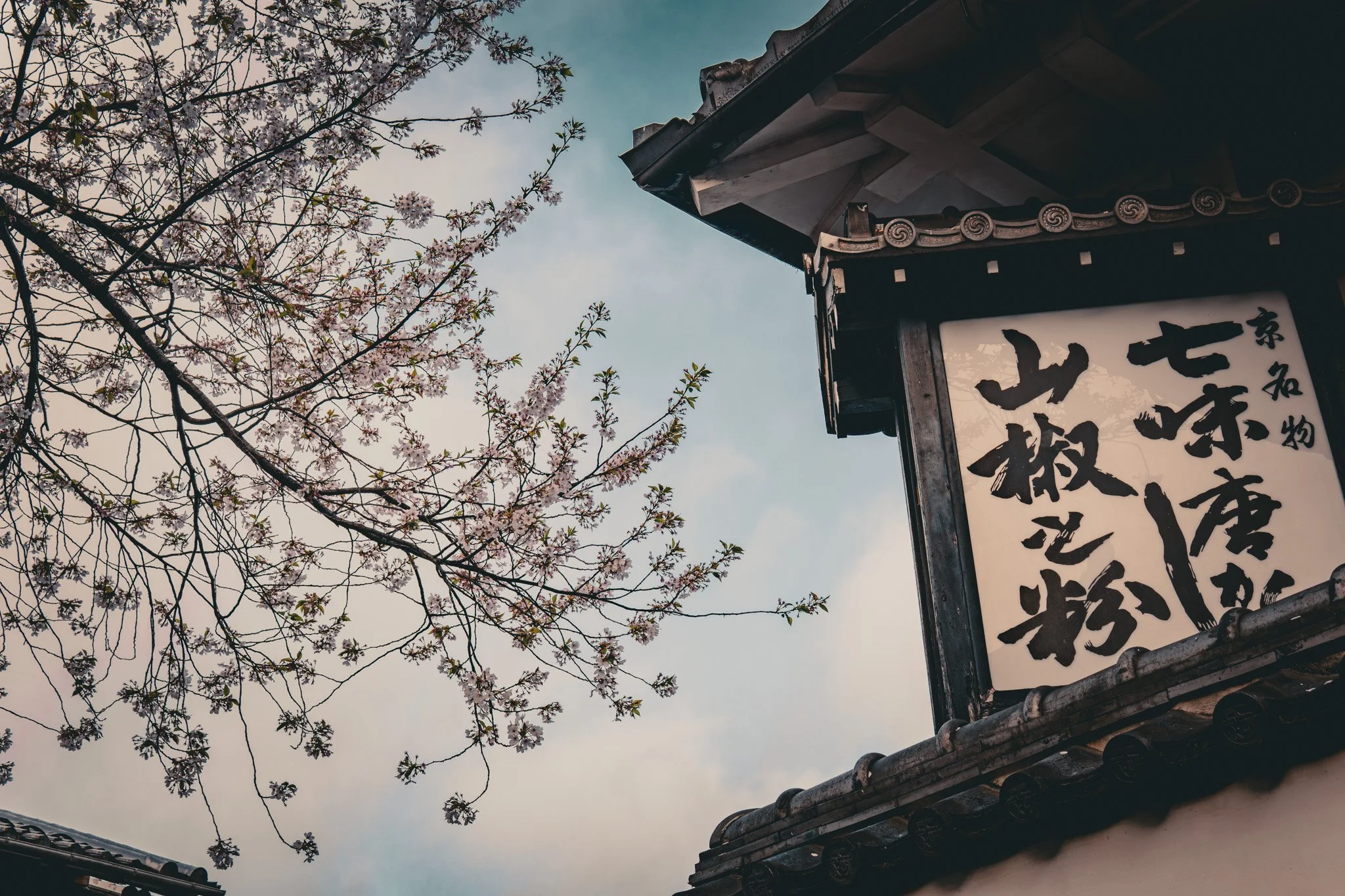 Kyoto By Bryan Higa 01871.jpg