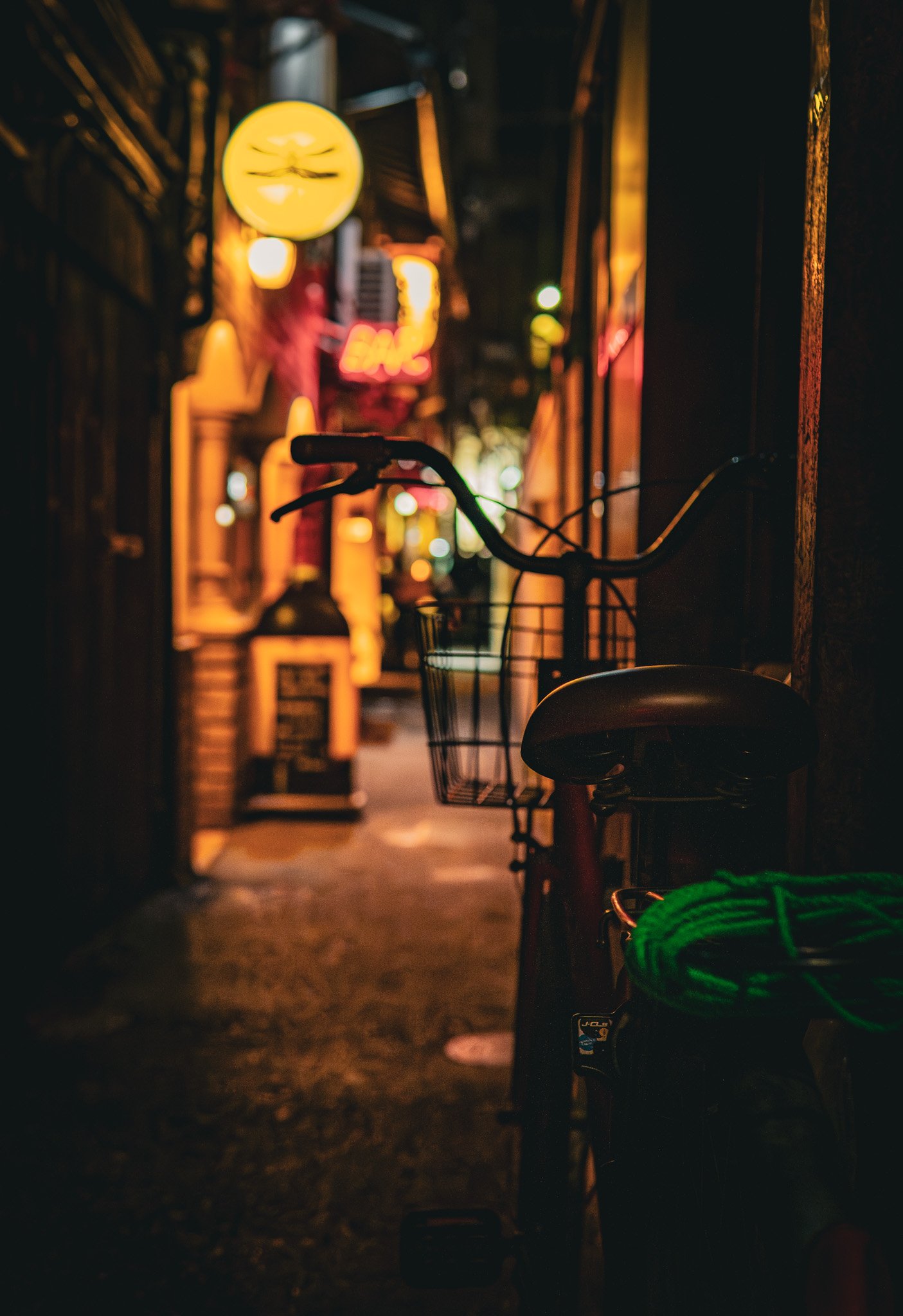 Kyoto By Bryan Higa 01781.jpg