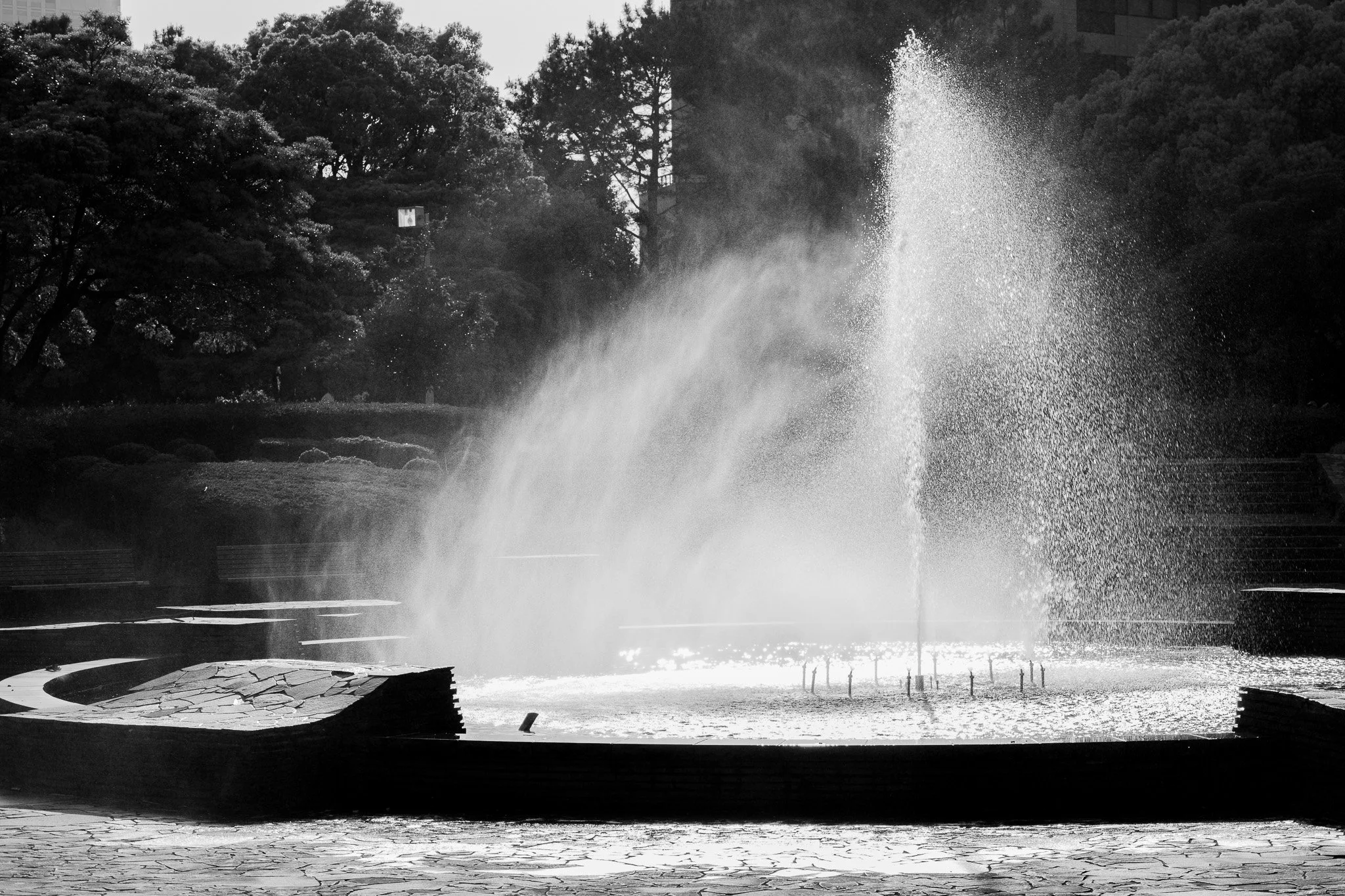 Chiba by Bryan Higa BKH02199.jpg