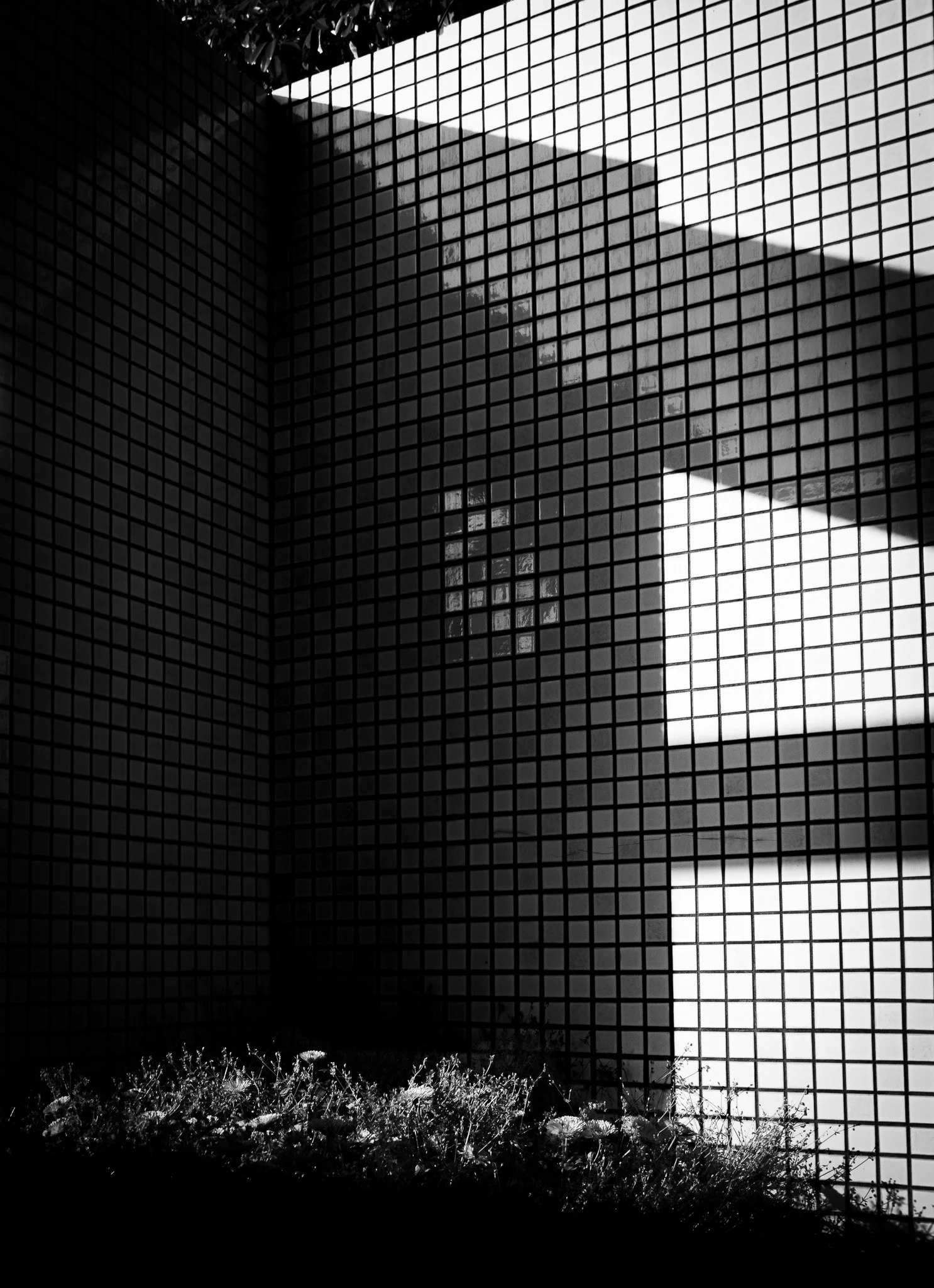 Chiba by Bryan Higa BKH02192.jpg