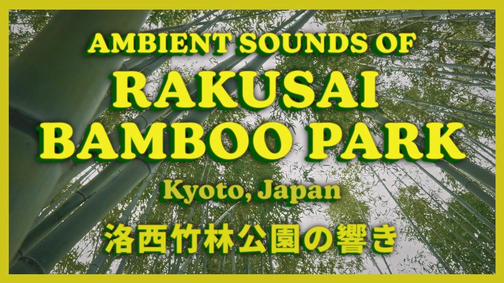 NEW AMBIENT SOUNDS SERIES