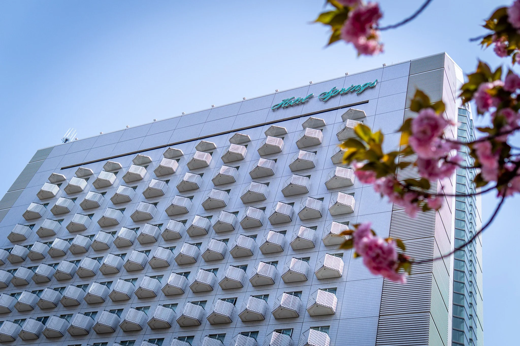 Chiba by Bryan Higa BKH02452.jpg