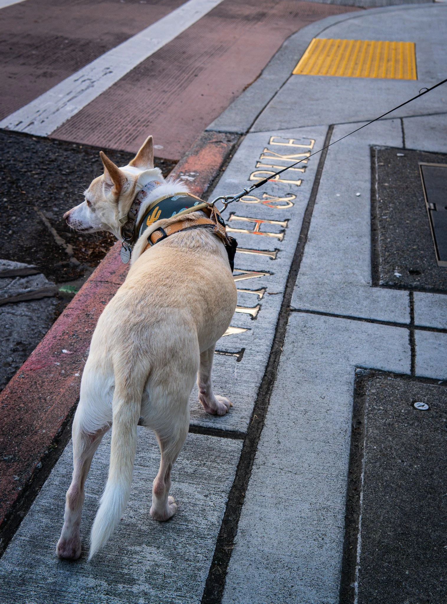 BKH03958.jpg