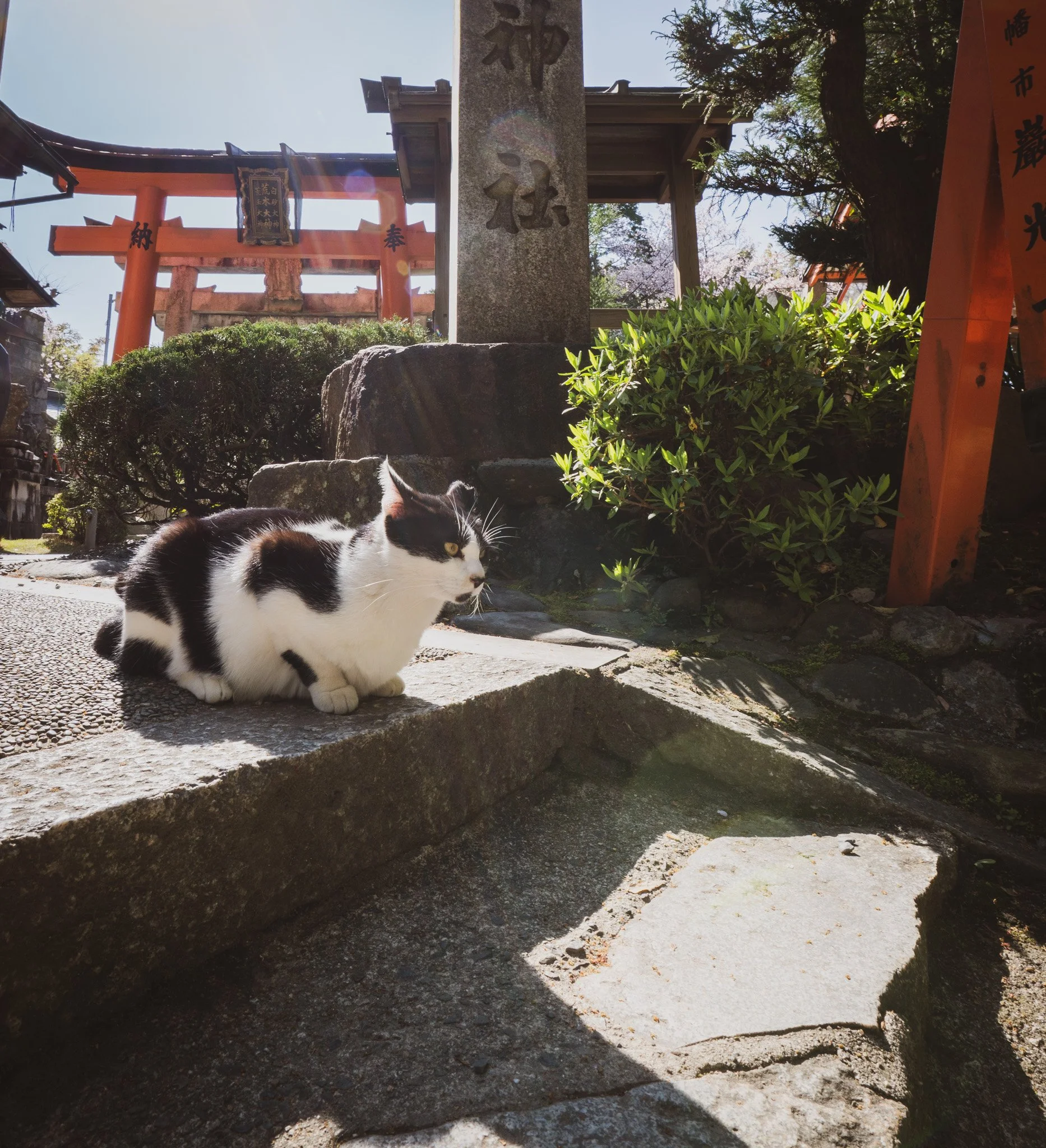 Kyoto By Bryan Higa 01461.jpg