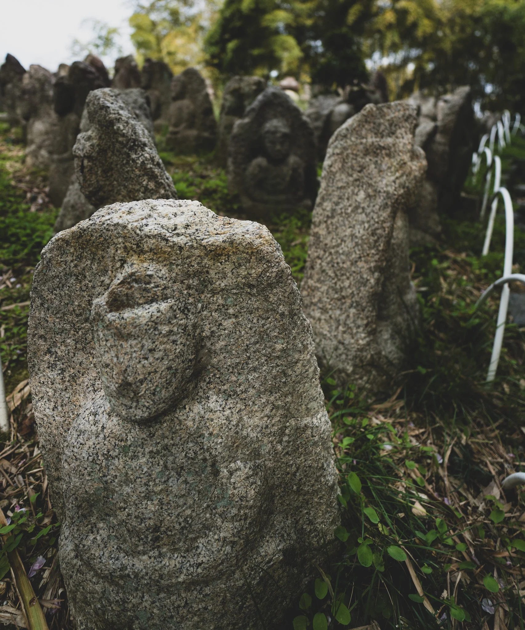 Kyoto By Bryan Higa 01492.jpg