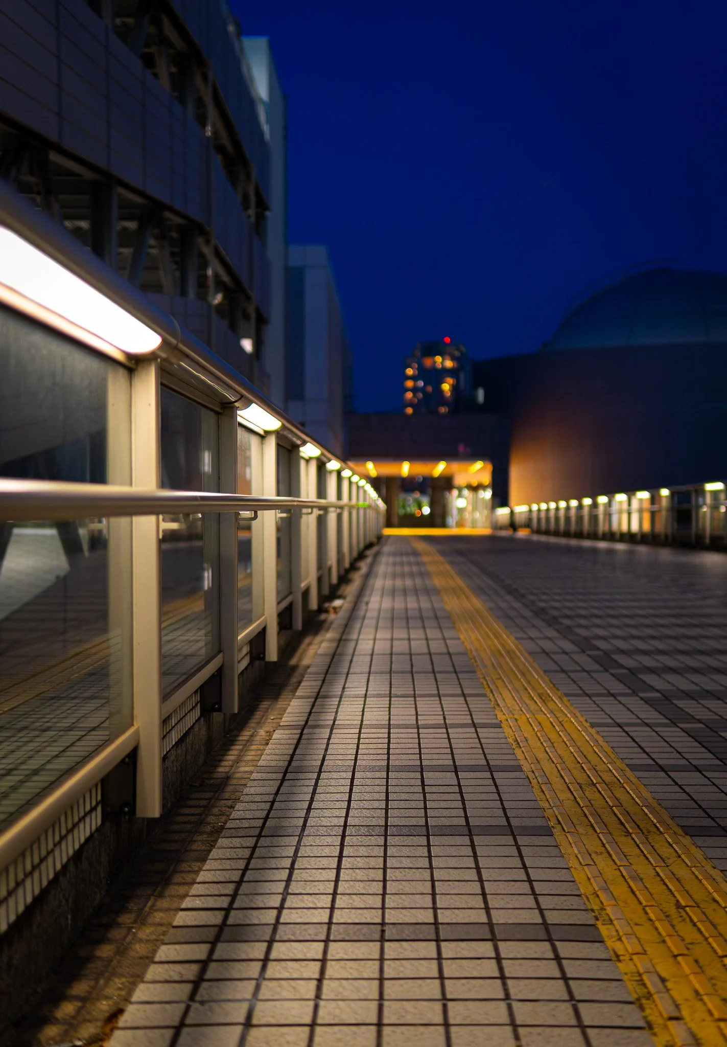 Chiba by Bryan Higa BKH02241.jpg