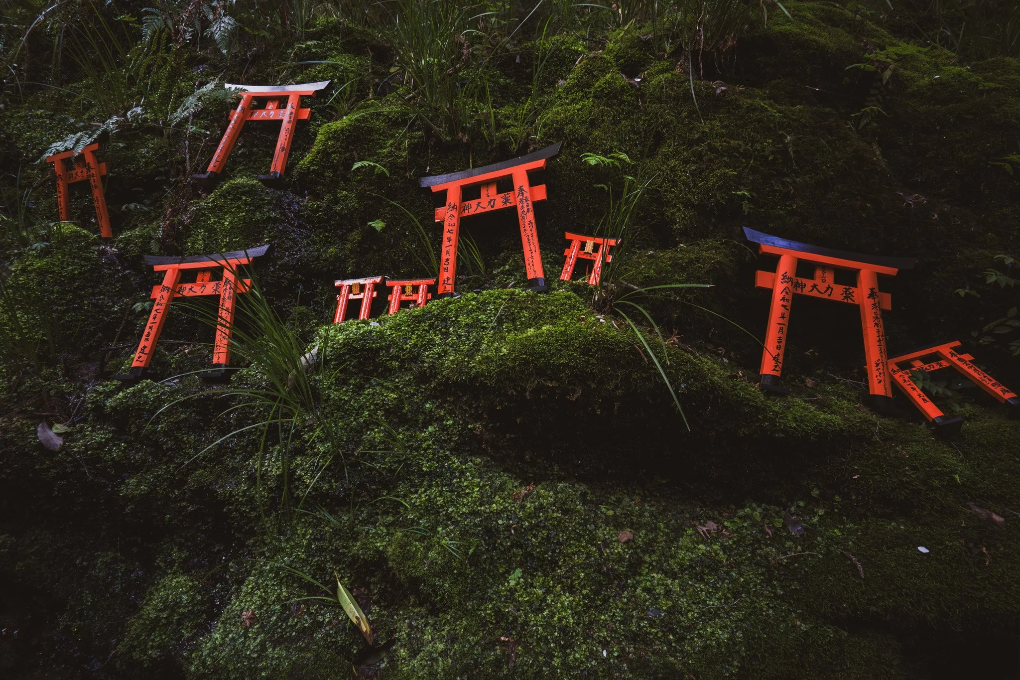 Kyoto By Bryan Higa 01422.jpg