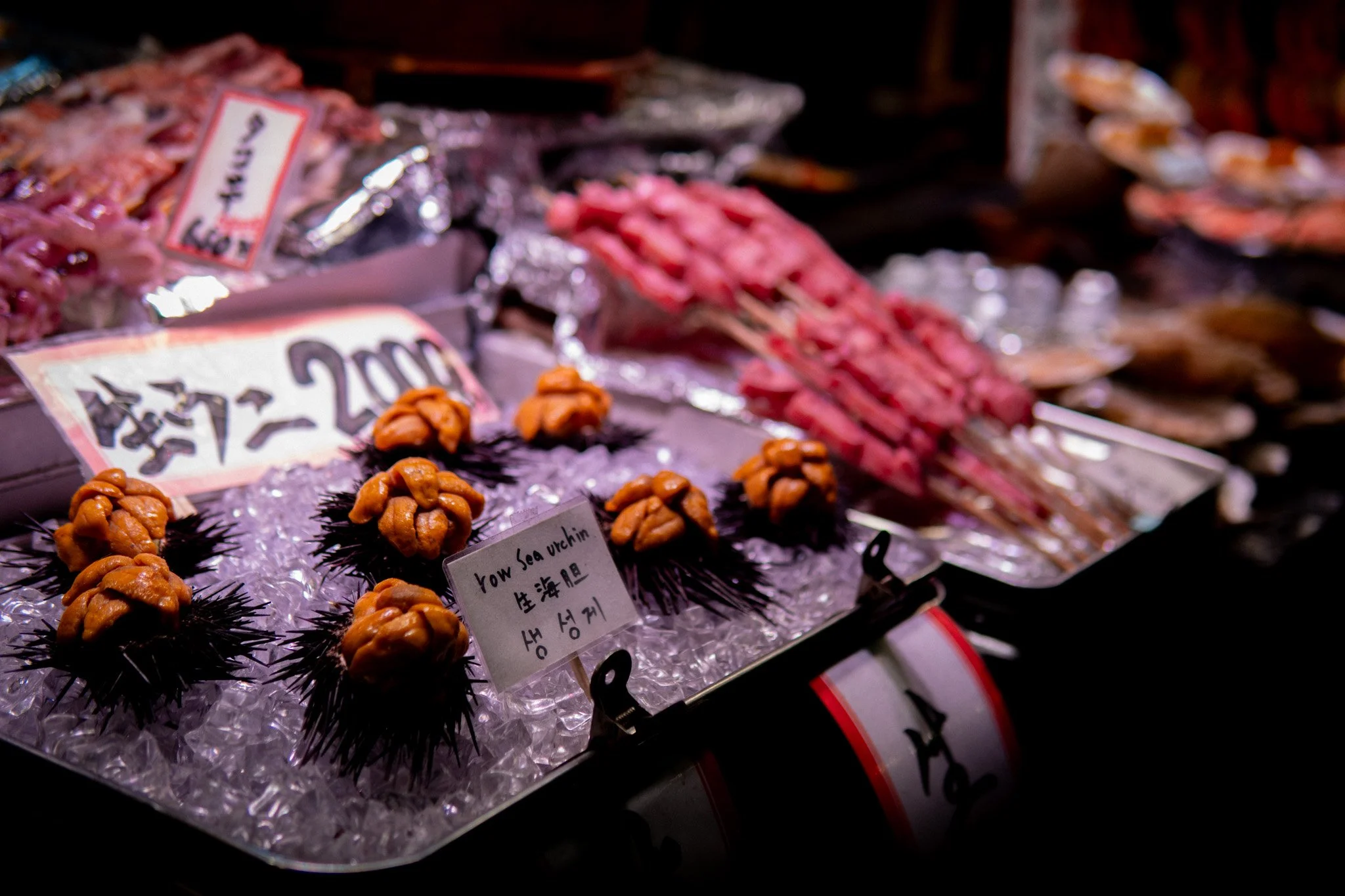 Kyoto By Bryan Higa 01673.jpg