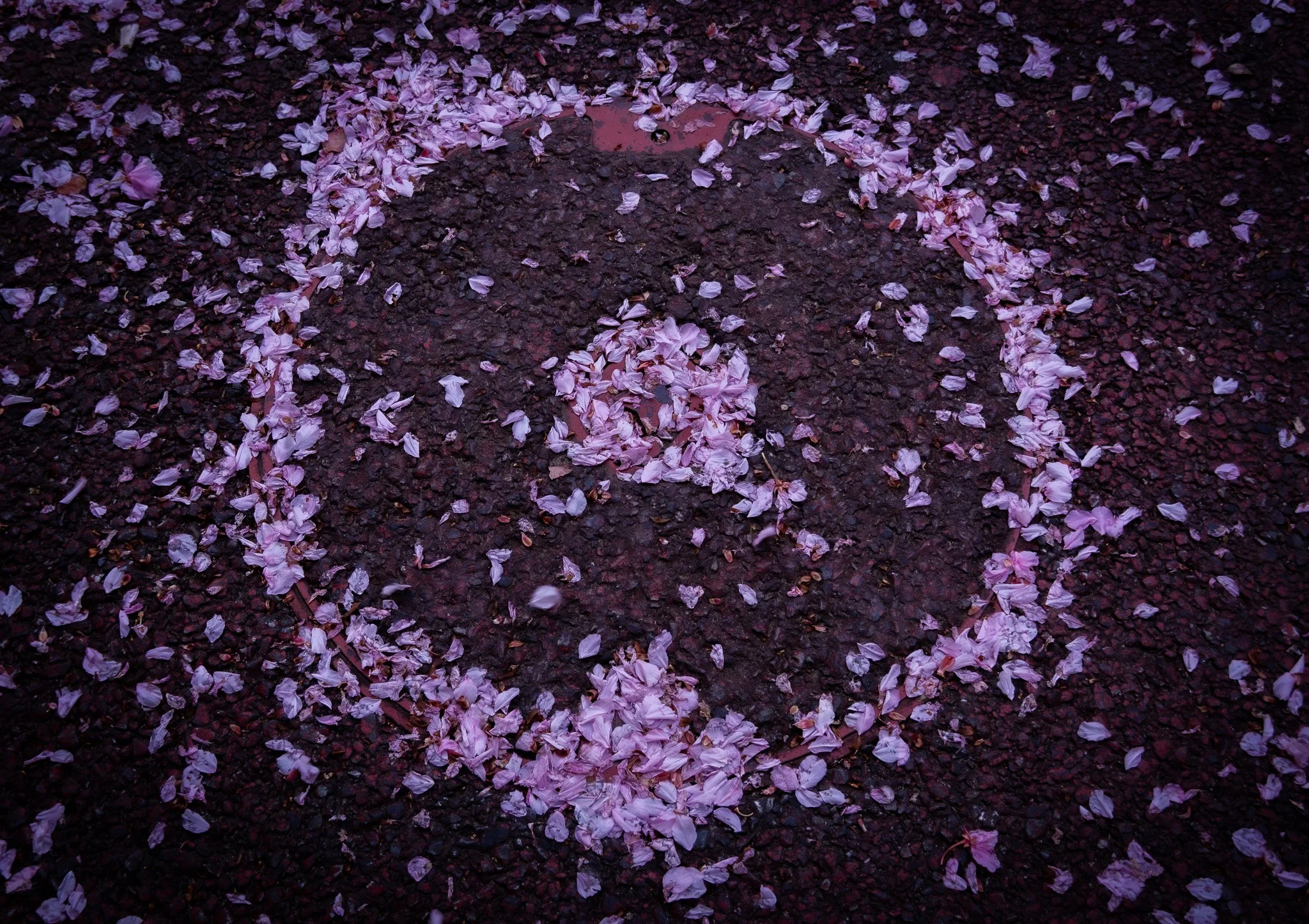 Chiba by Bryan Higa BKH02385.jpg