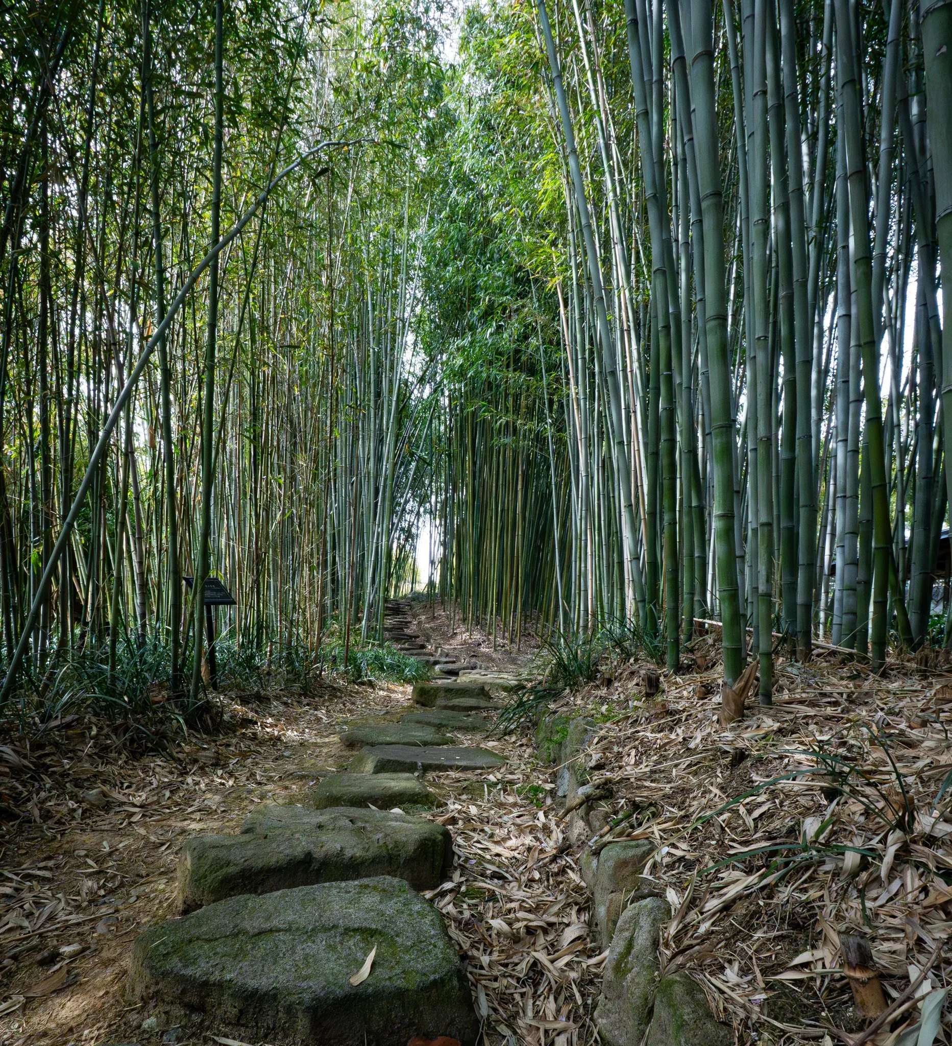 Kyoto By Bryan Higa 01490.jpg