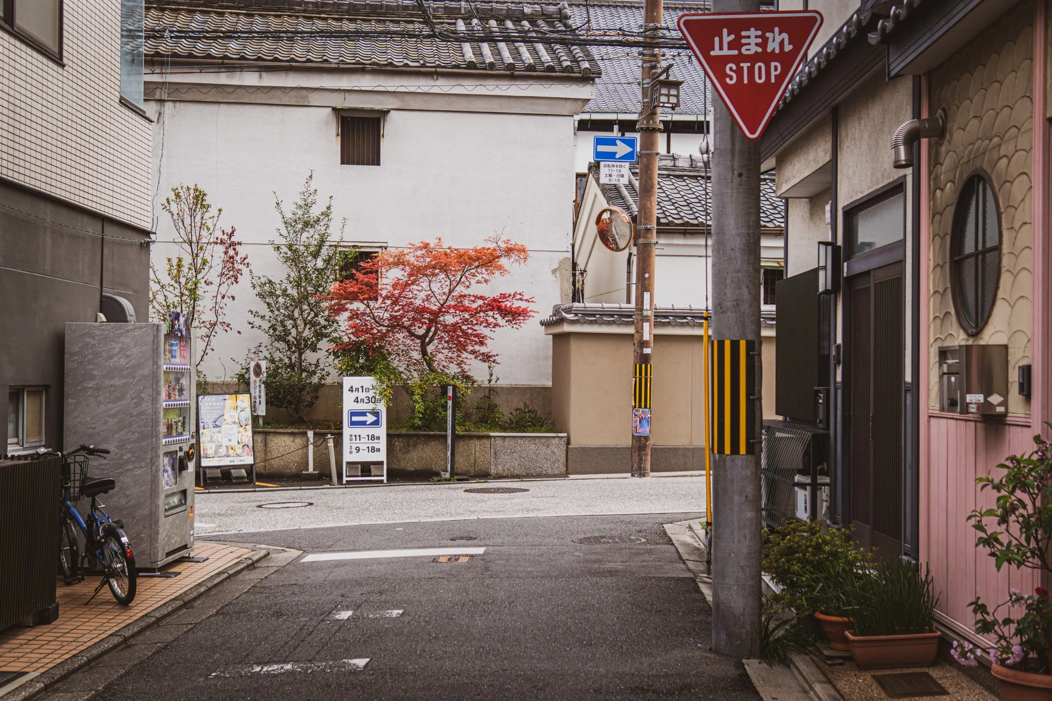 Kyoto By Bryan Higa 01916.jpg