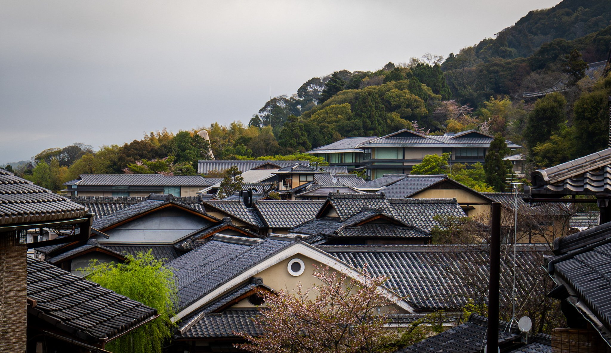 Kyoto By Bryan Higa 01872.jpg
