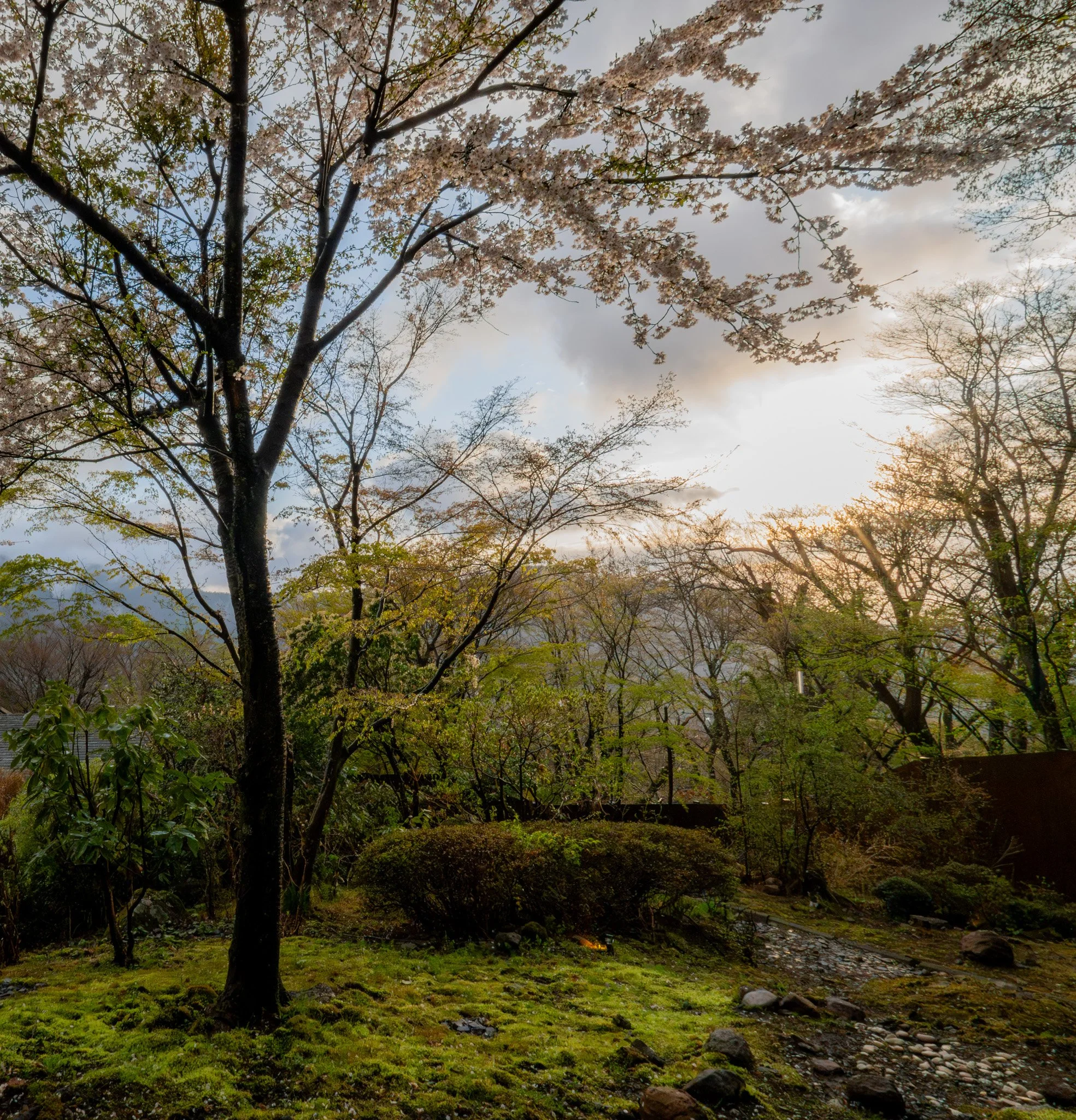 Hakone by Bryan Higa_BKH02017.jpg
