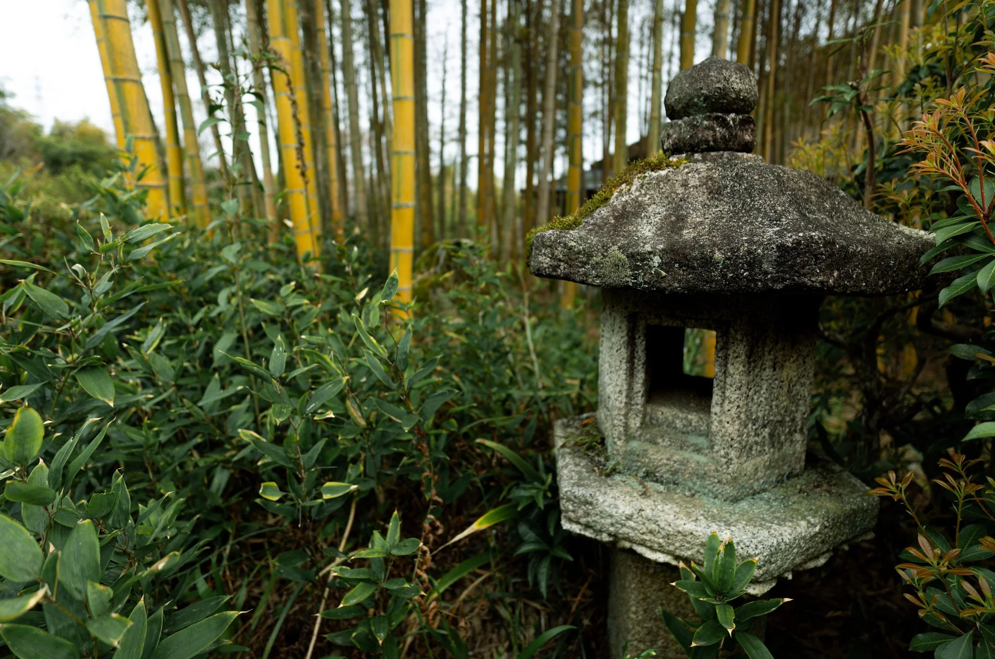 Kyoto By Bryan Higa 01505.jpg