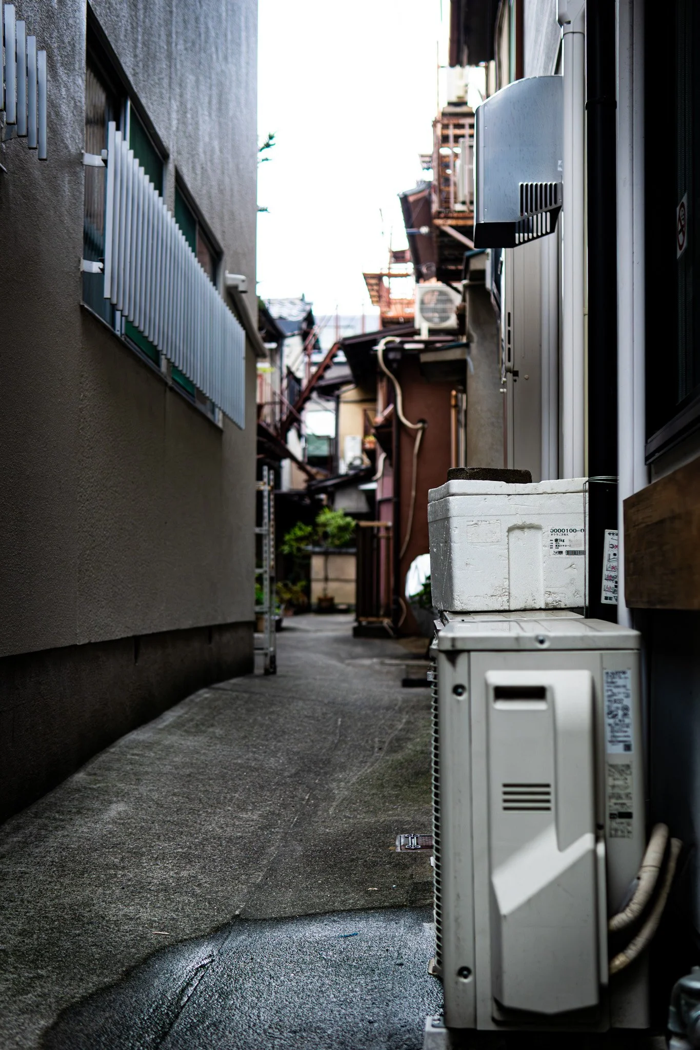 Kyoto By Bryan Higa 01904.jpg