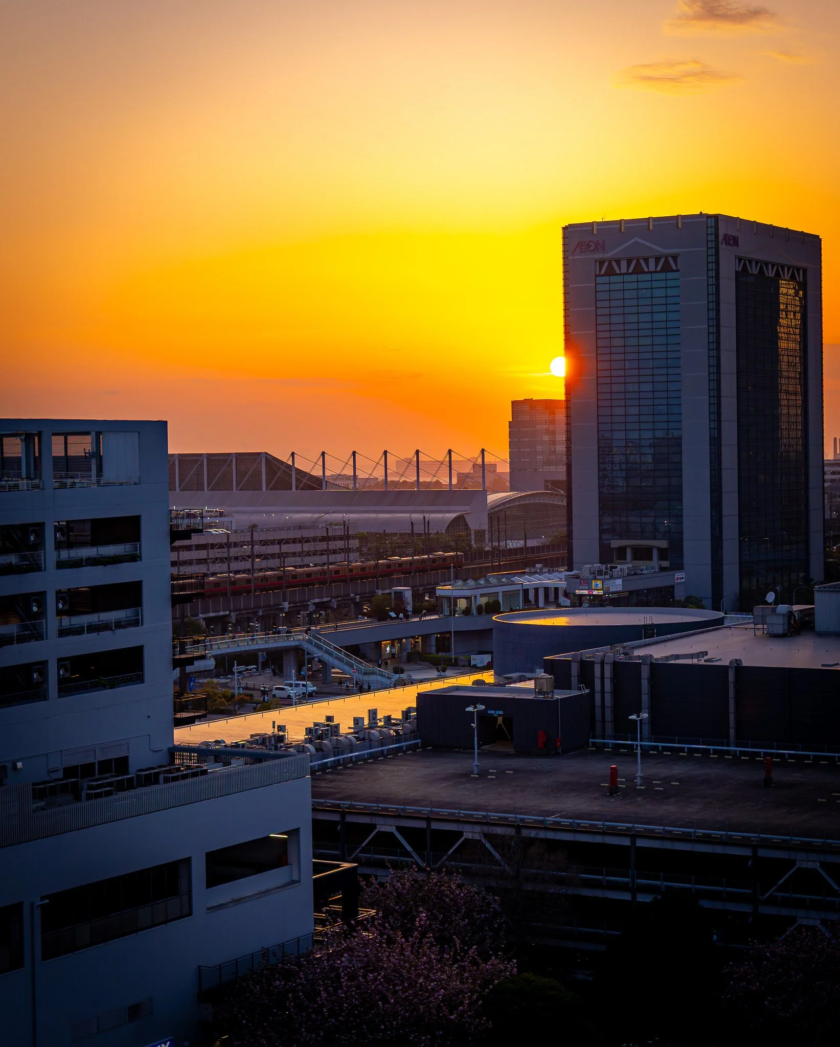 Chiba by Bryan Higa BKH02236.jpg