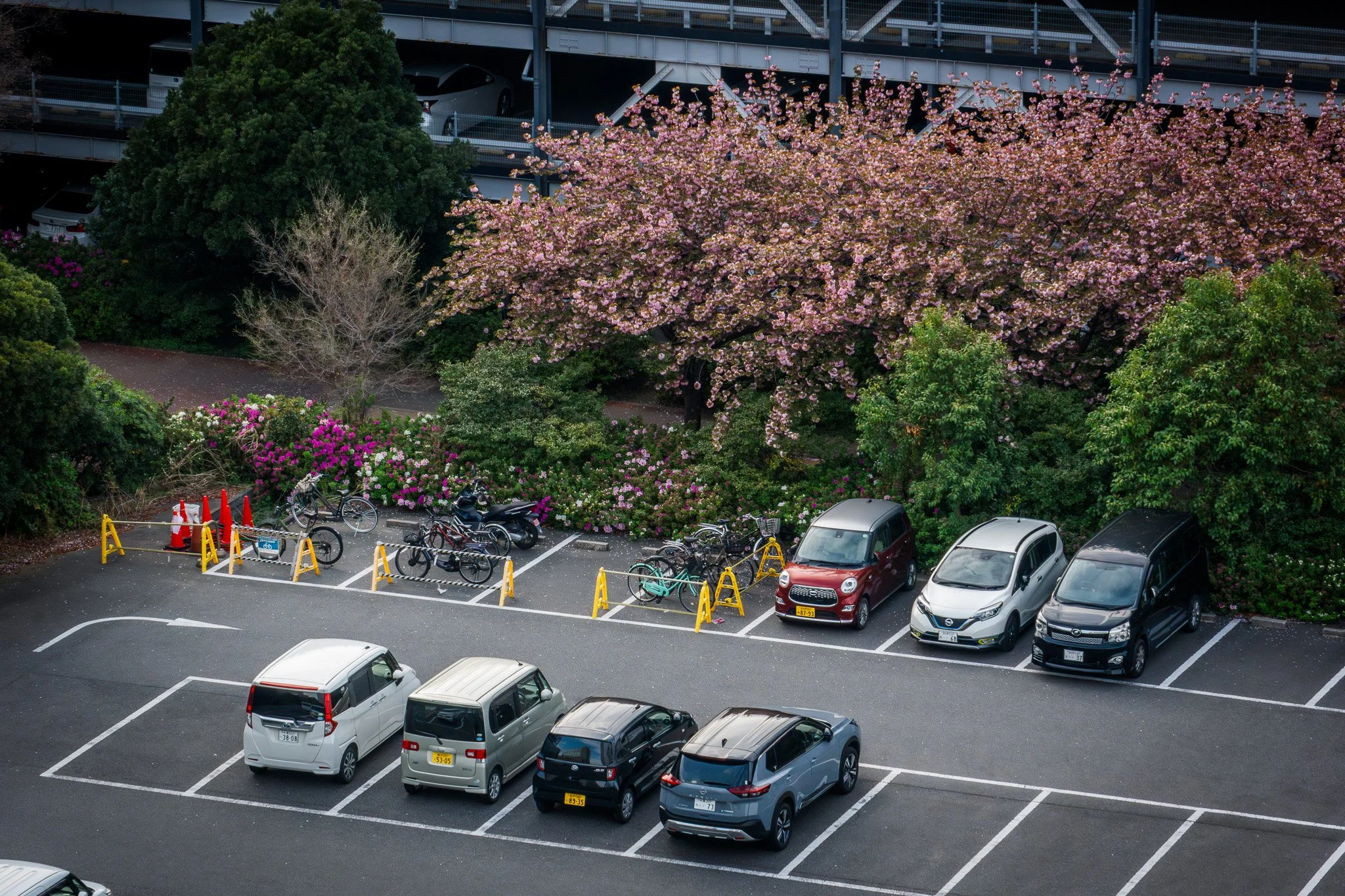 Chiba by Bryan Higa BKH02151.jpg