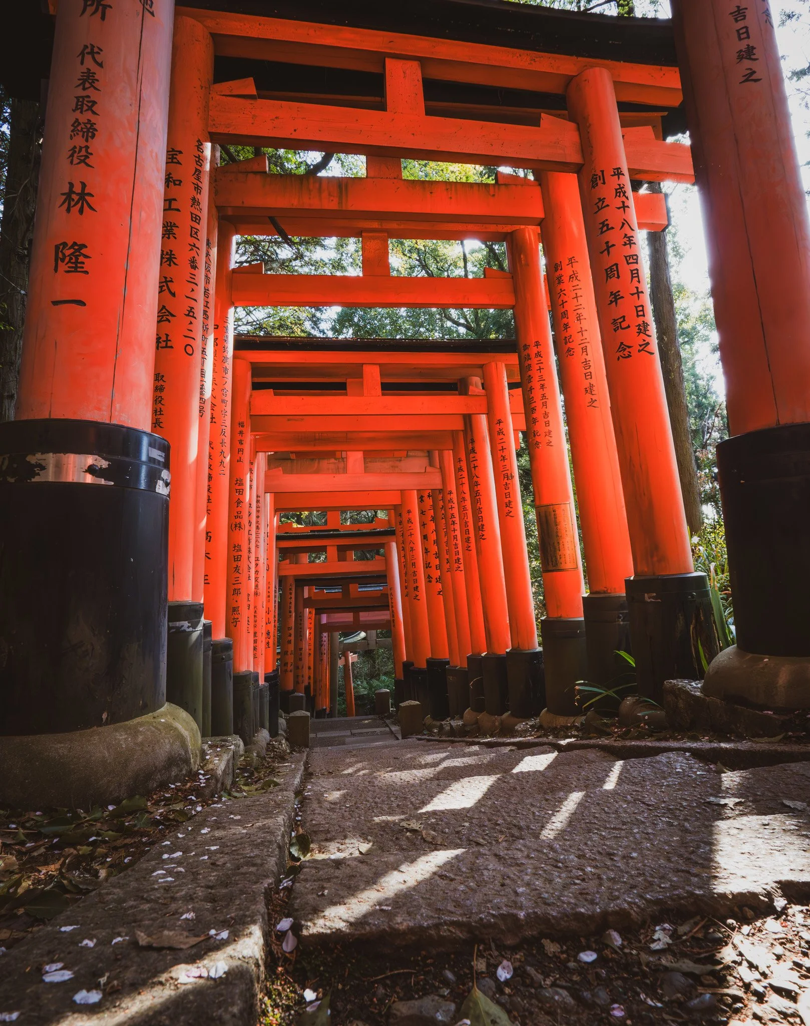 Kyoto By Bryan Higa 01414.jpg