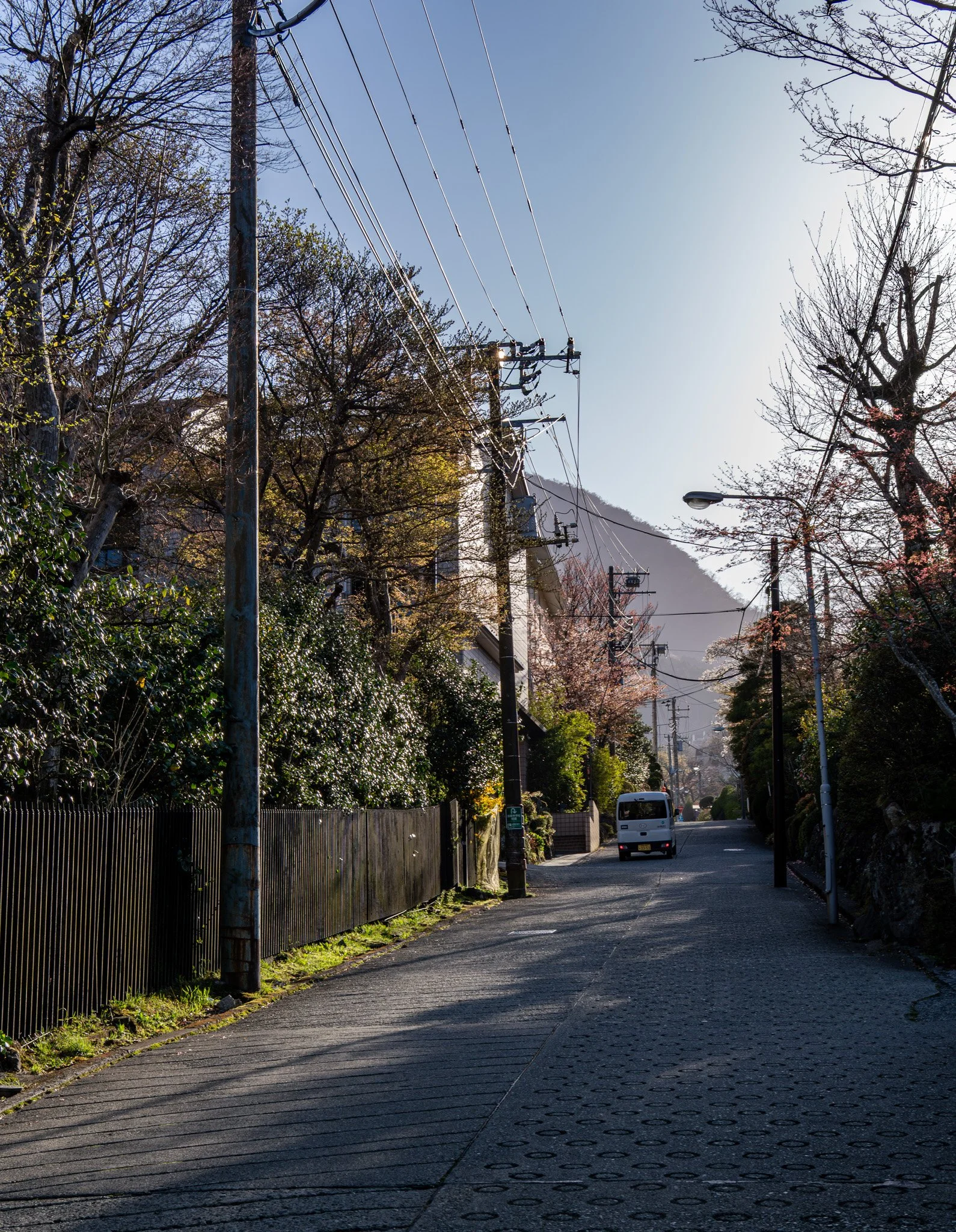 Hakone by Bryan Higa_BKH02004.jpg