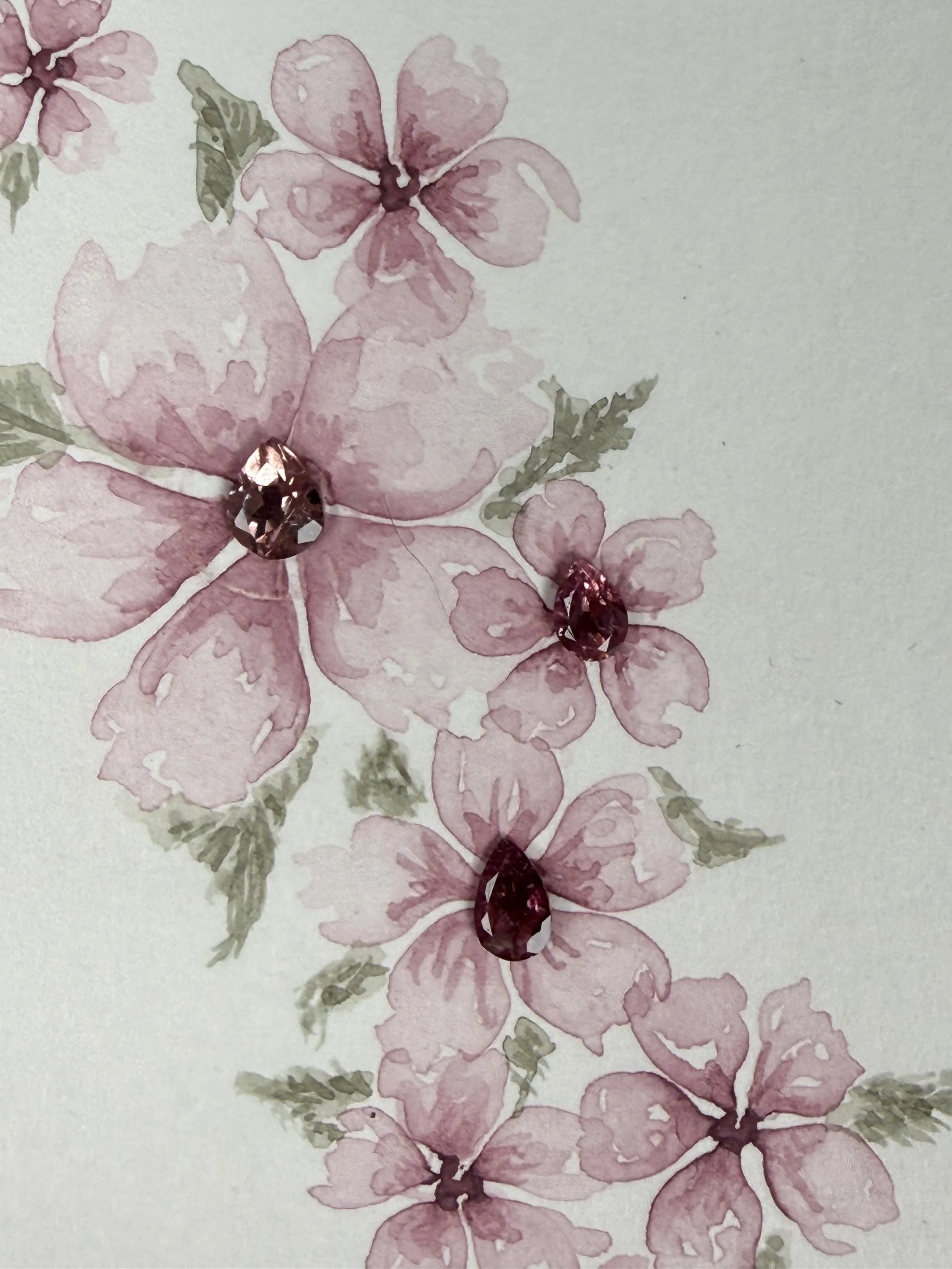 Pink Blossom Vine
