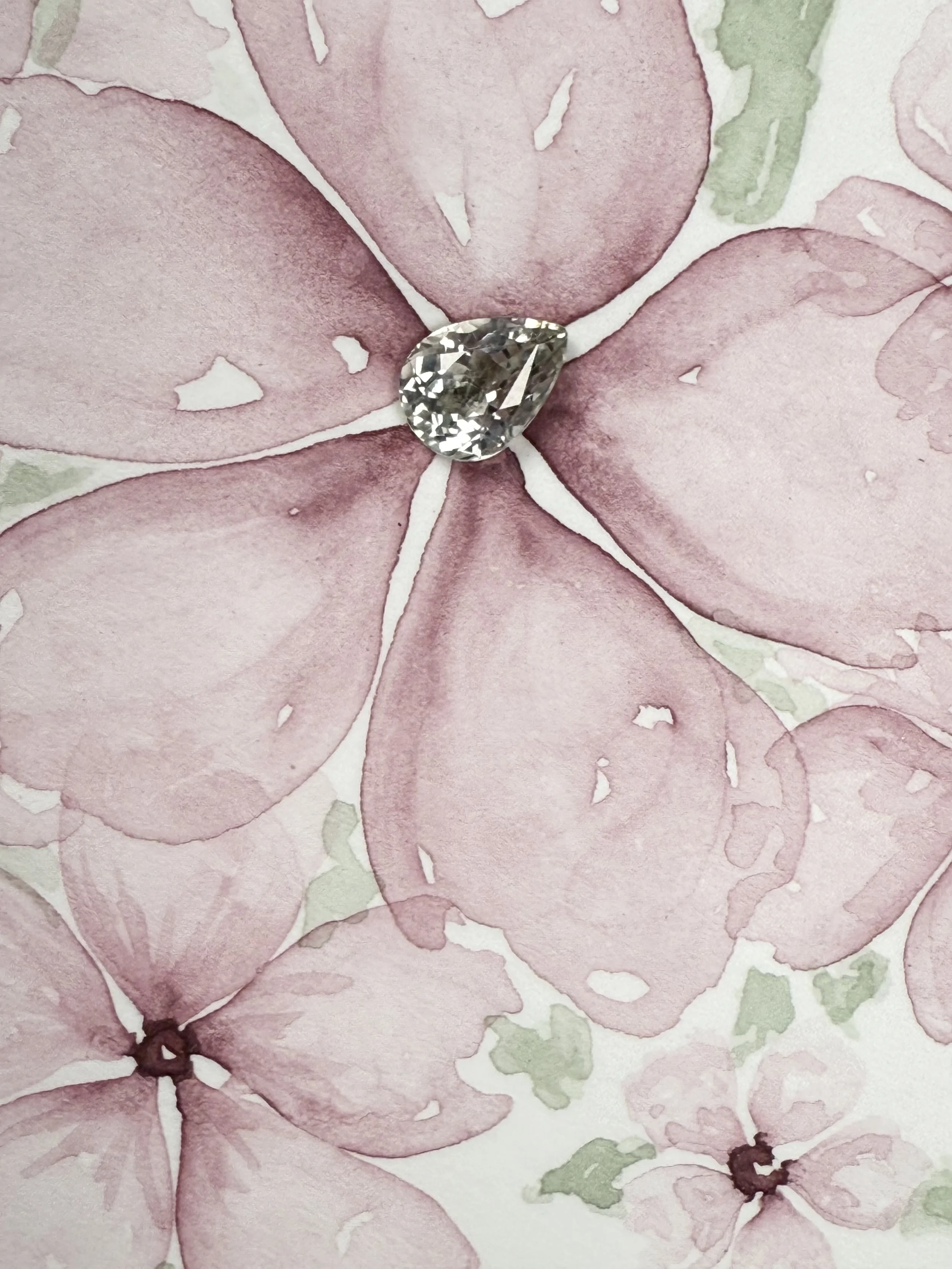 Dew Drop