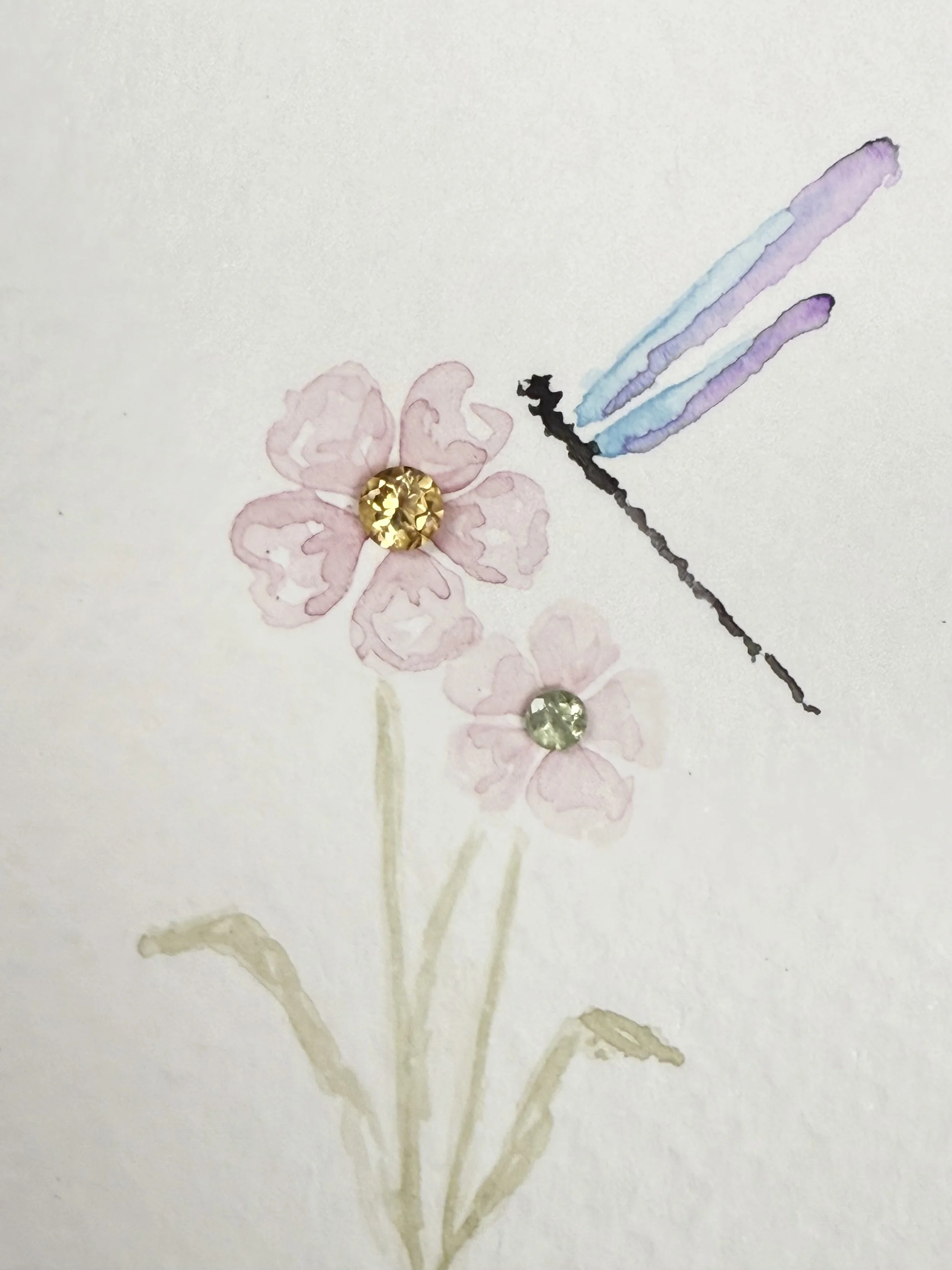 Dragonfly Dream