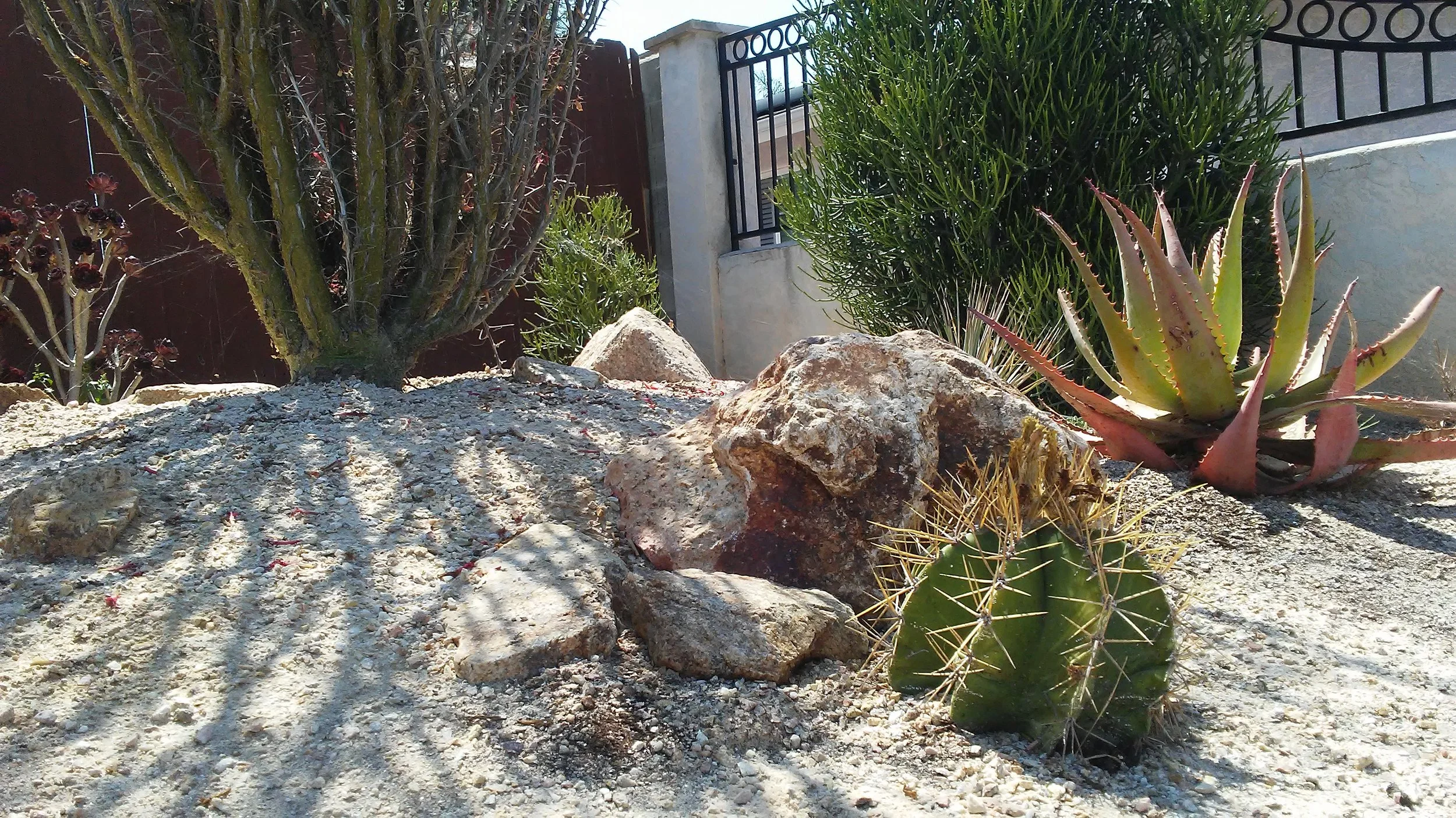 Desert Scape Stock.jpg