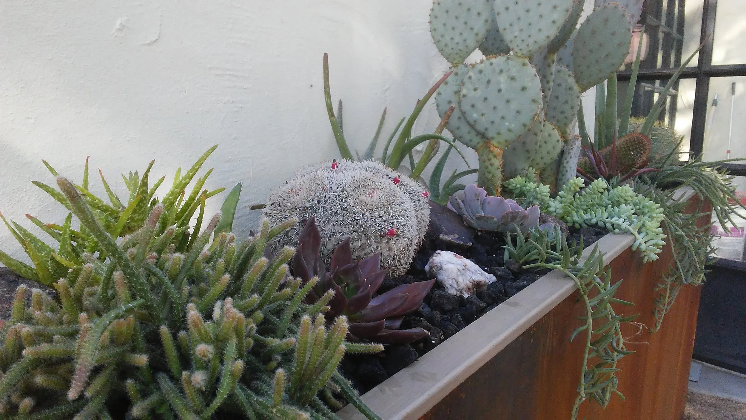 Lipitz Planter Close.jpg