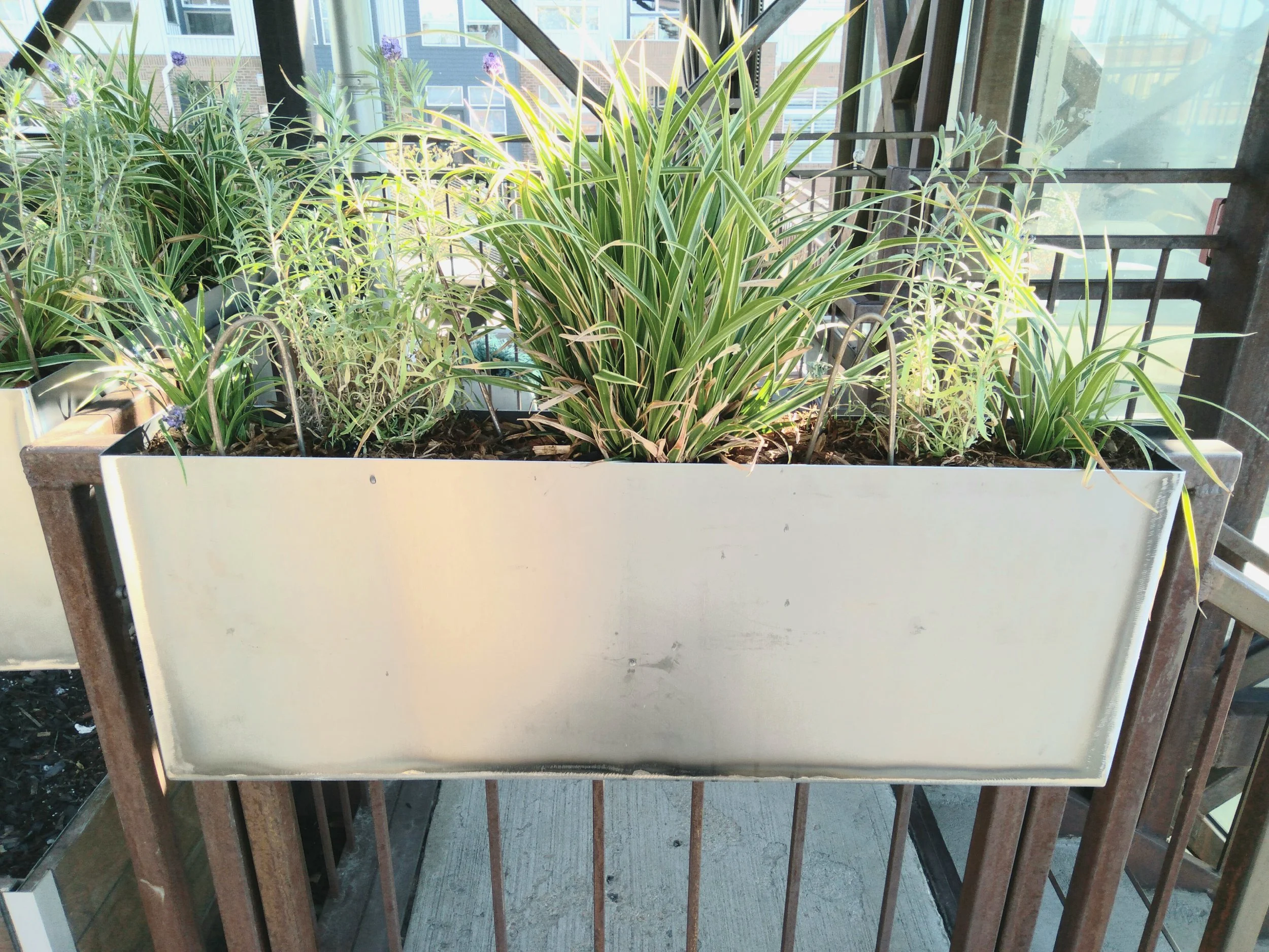 Denver Hang Planter.jpg