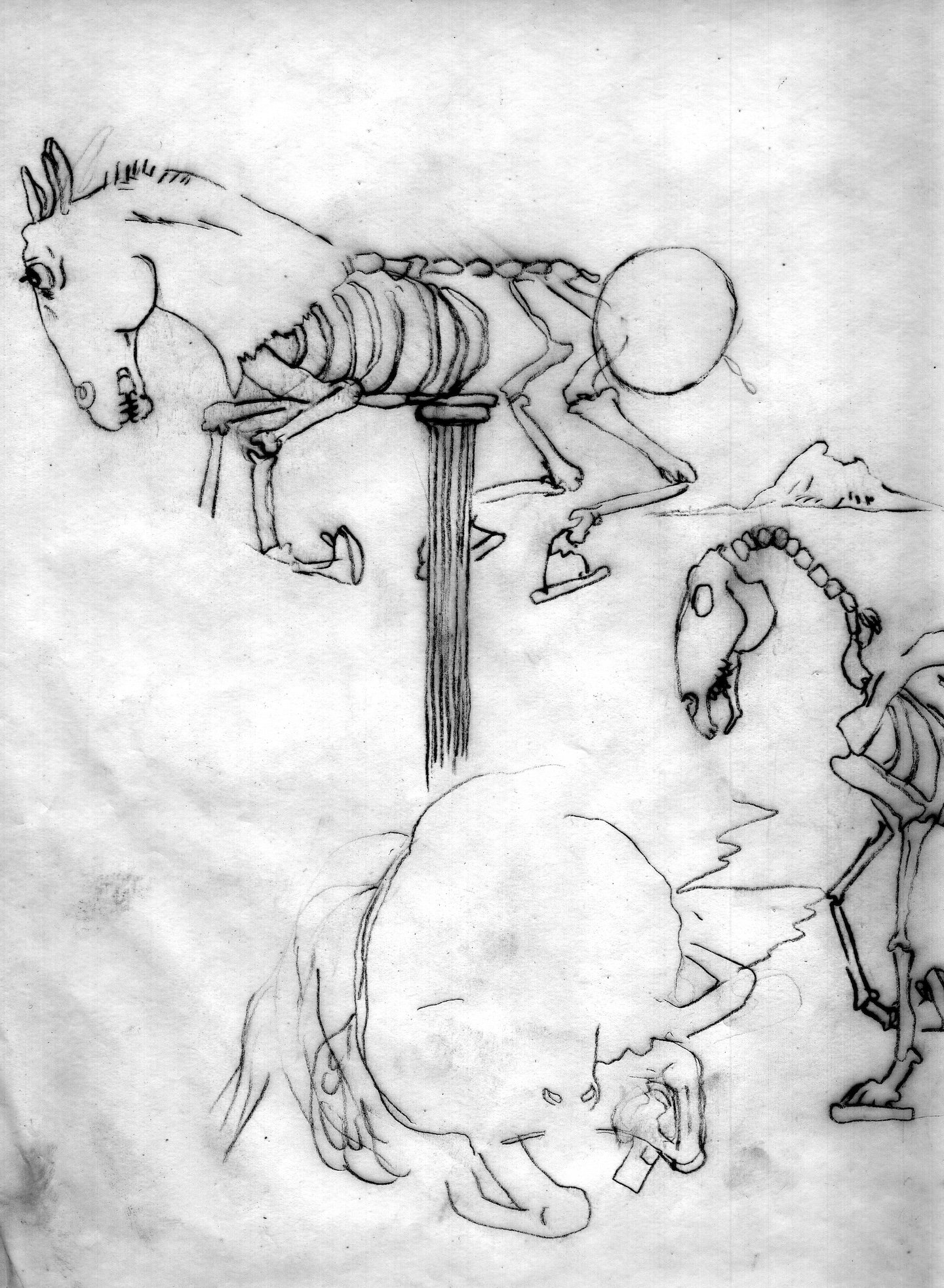 Drawing on tracing paper for final detail layer.
