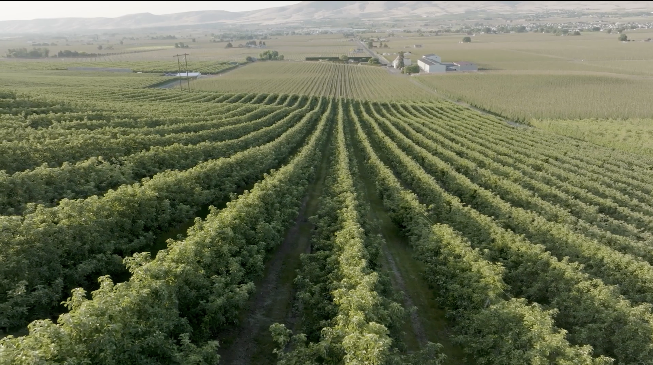 Screenshot 2026-03-28 at 12.07.38 AM.png