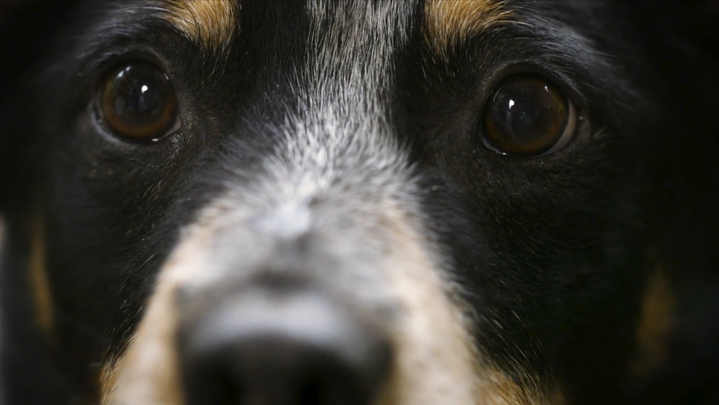 Screenshot 2026-03-27 at 3.47.48 PM.png