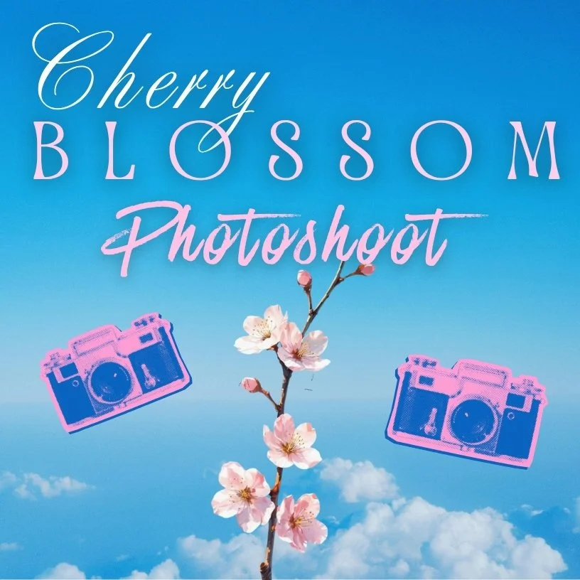 Cherry Blossom Photoshoot 🌸